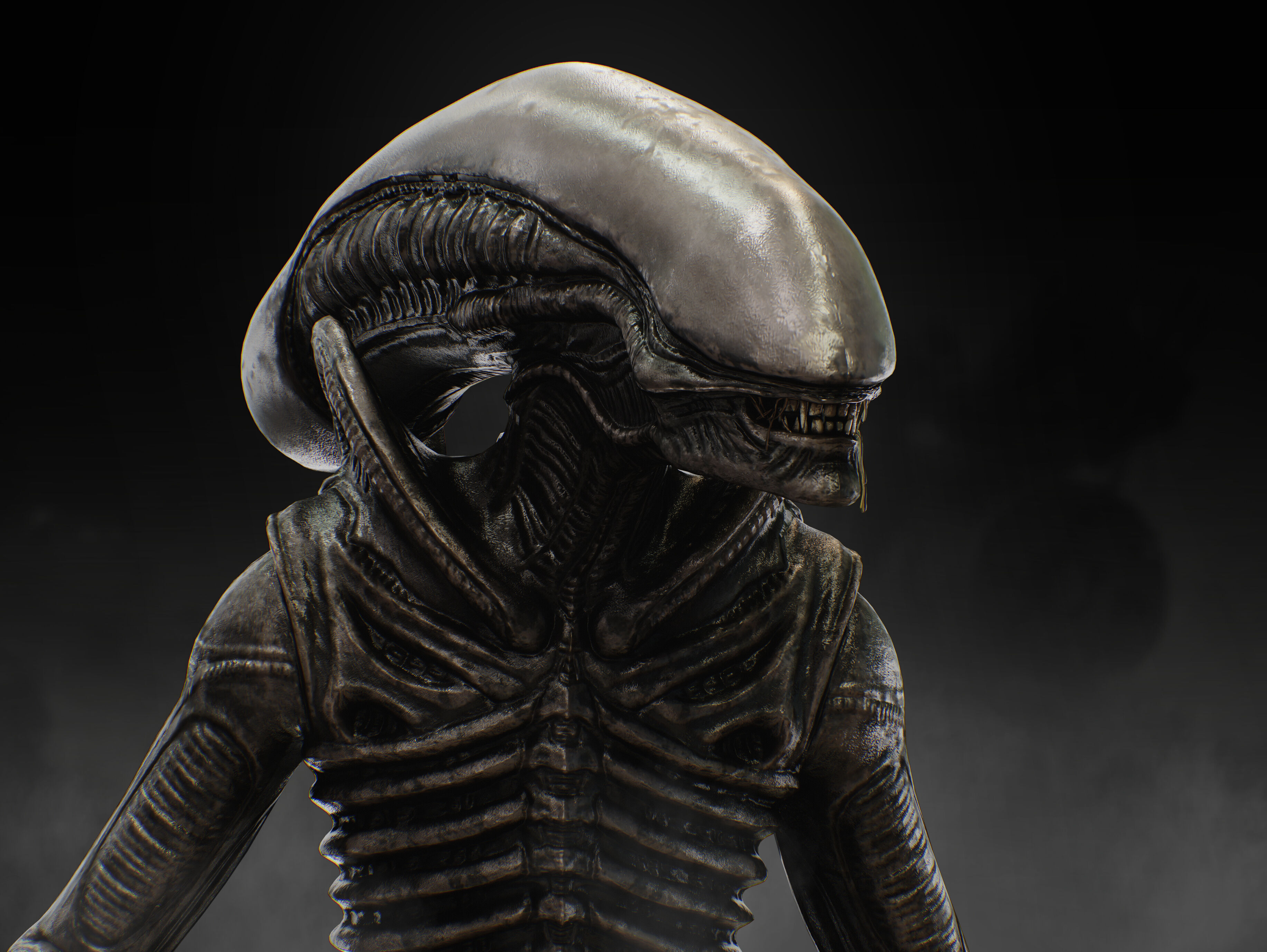 Xenomorph Low-poly 3D model_15