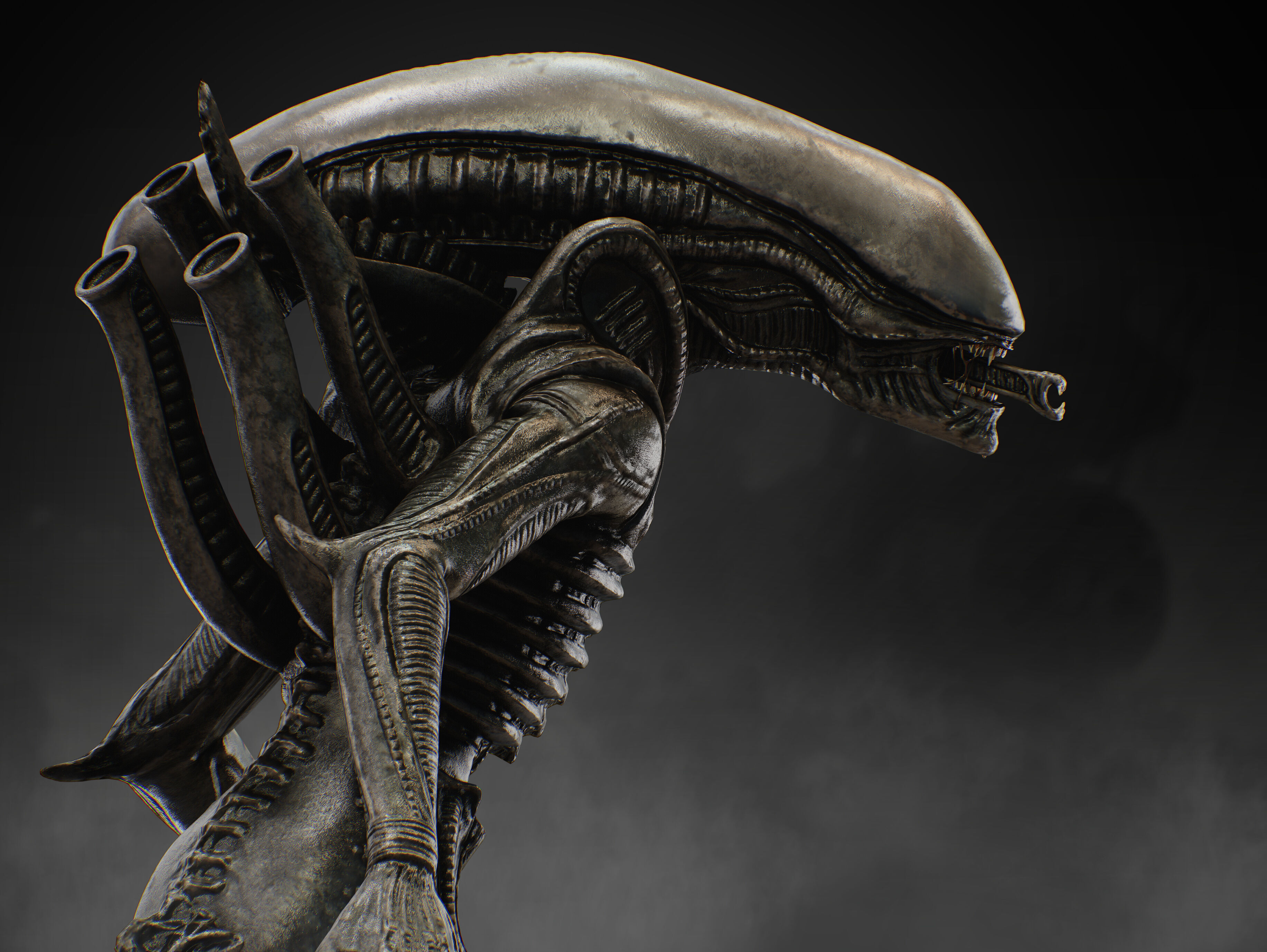 Xenomorph Low-poly 3D model_14