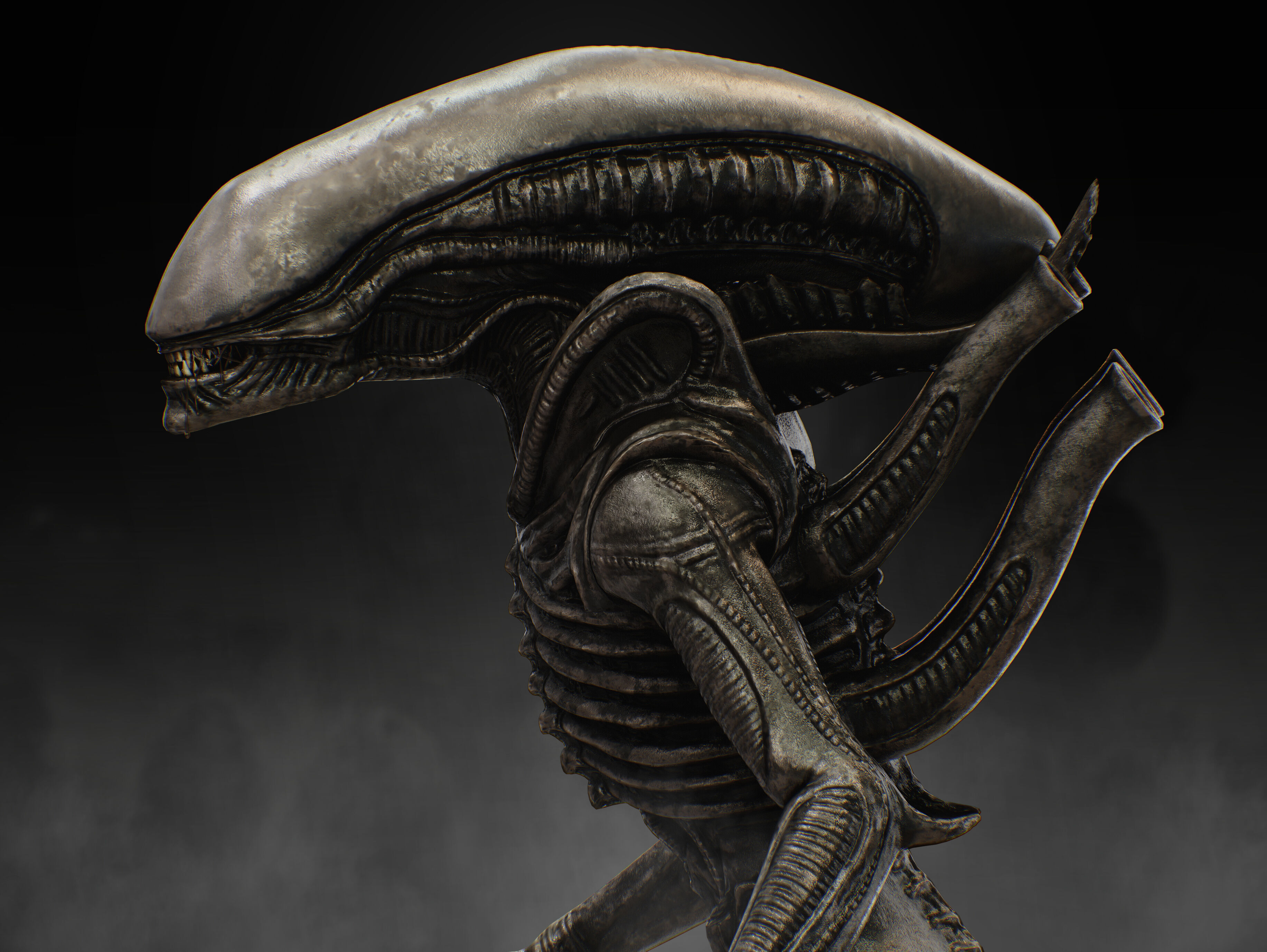 Xenomorph Low-poly 3D model_7