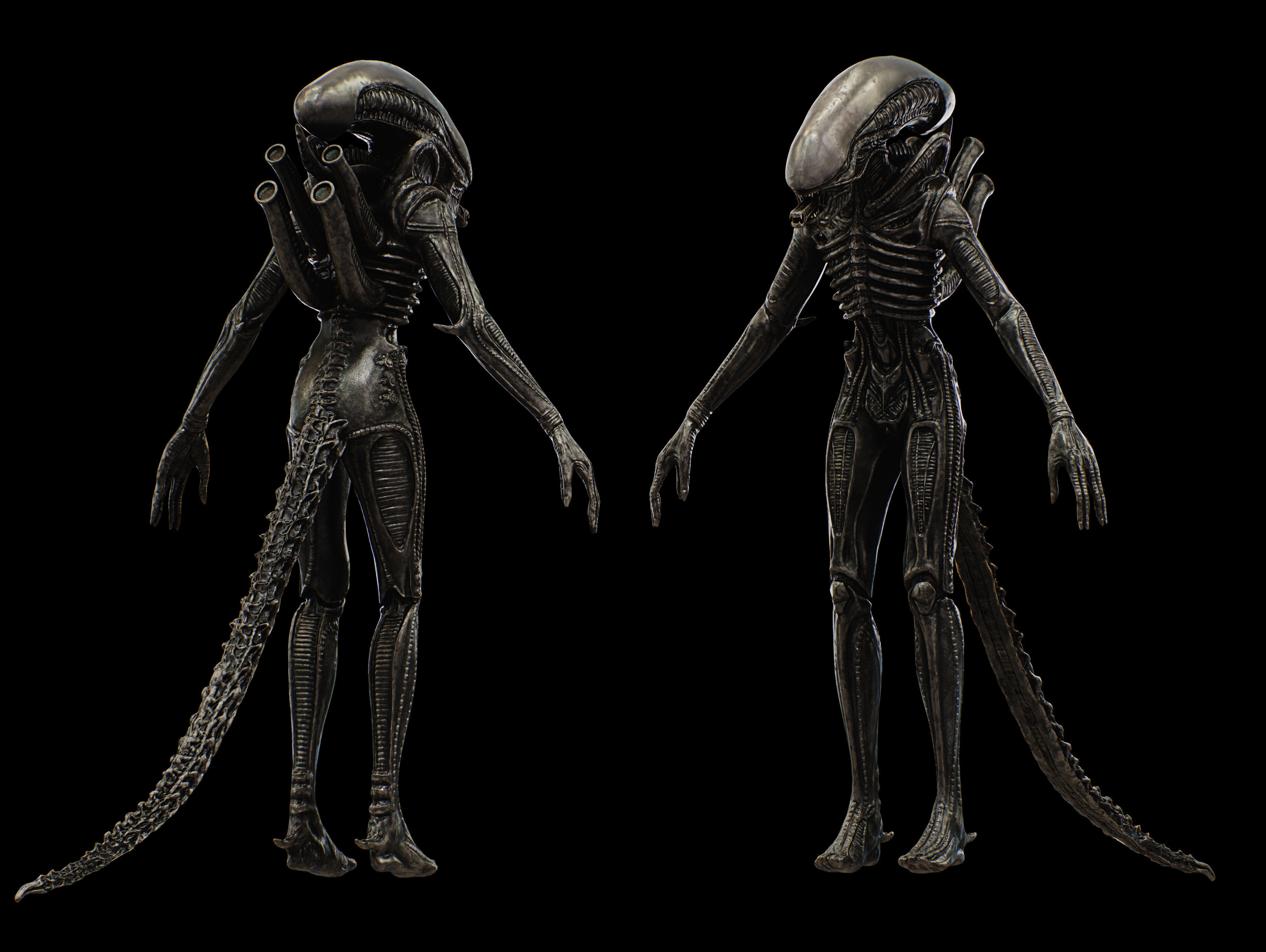 Xenomorph Low-poly 3D model_18