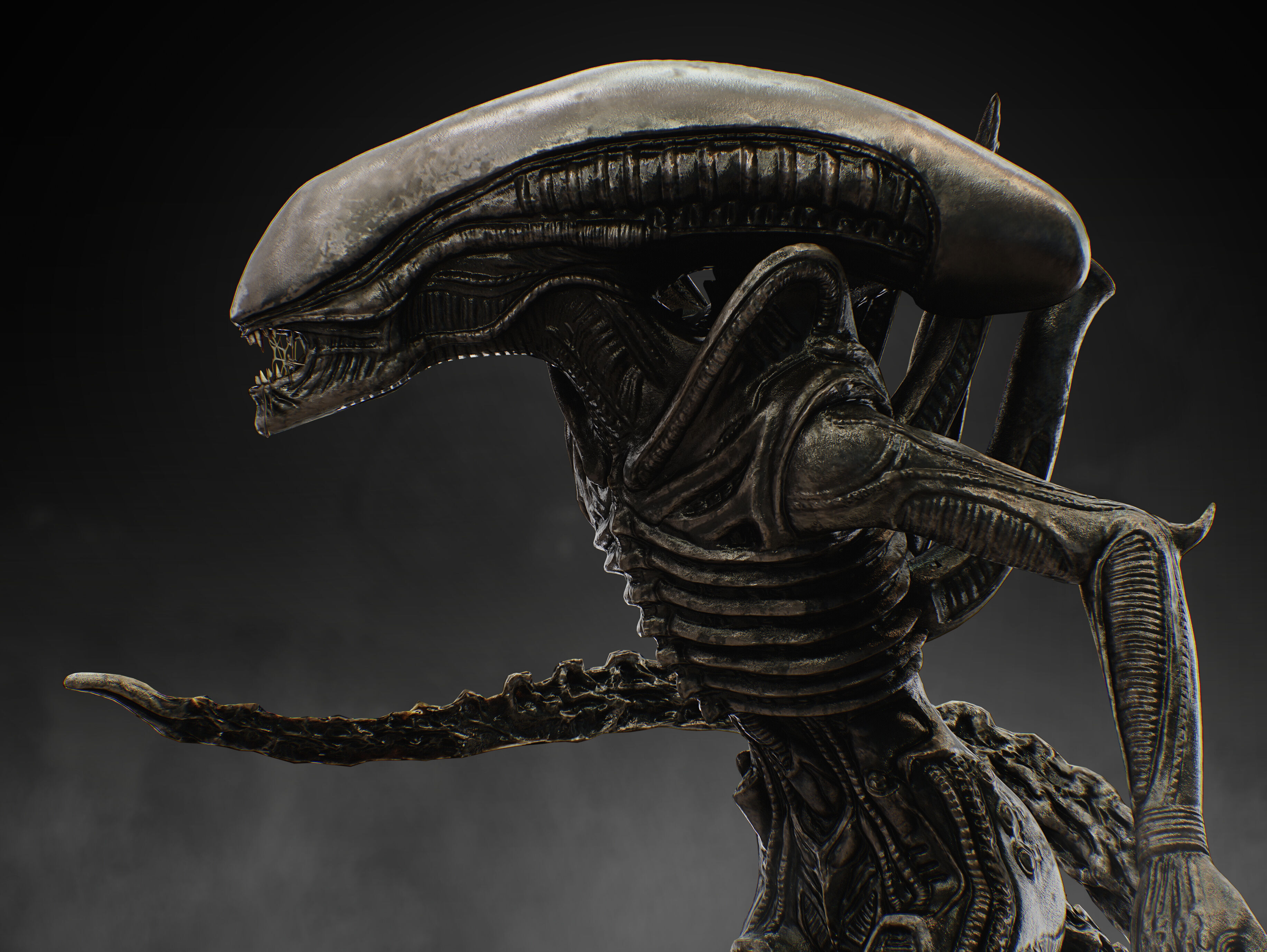 Xenomorph Low-poly 3D model_2