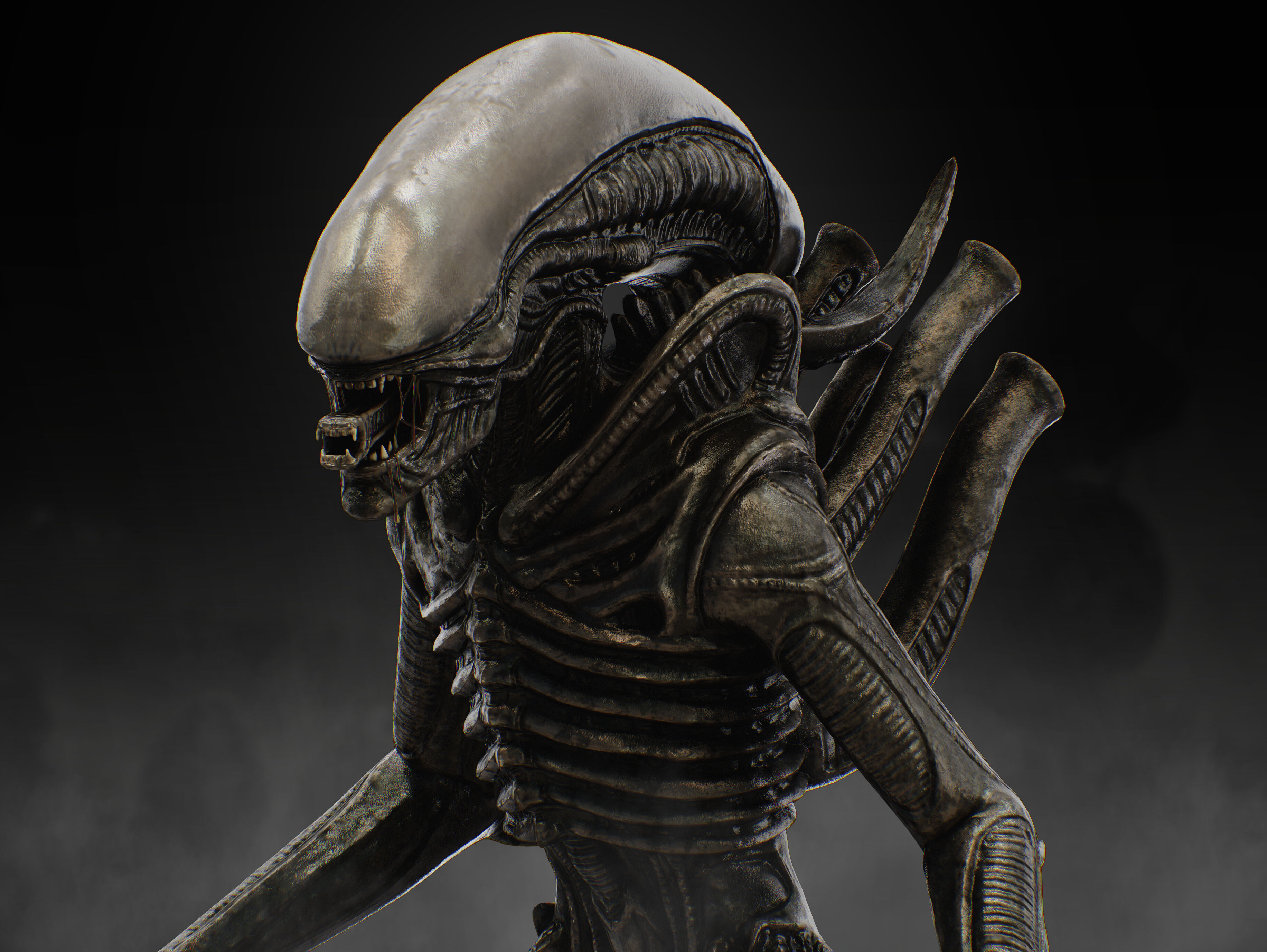 Xenomorph Low-poly 3D model_16