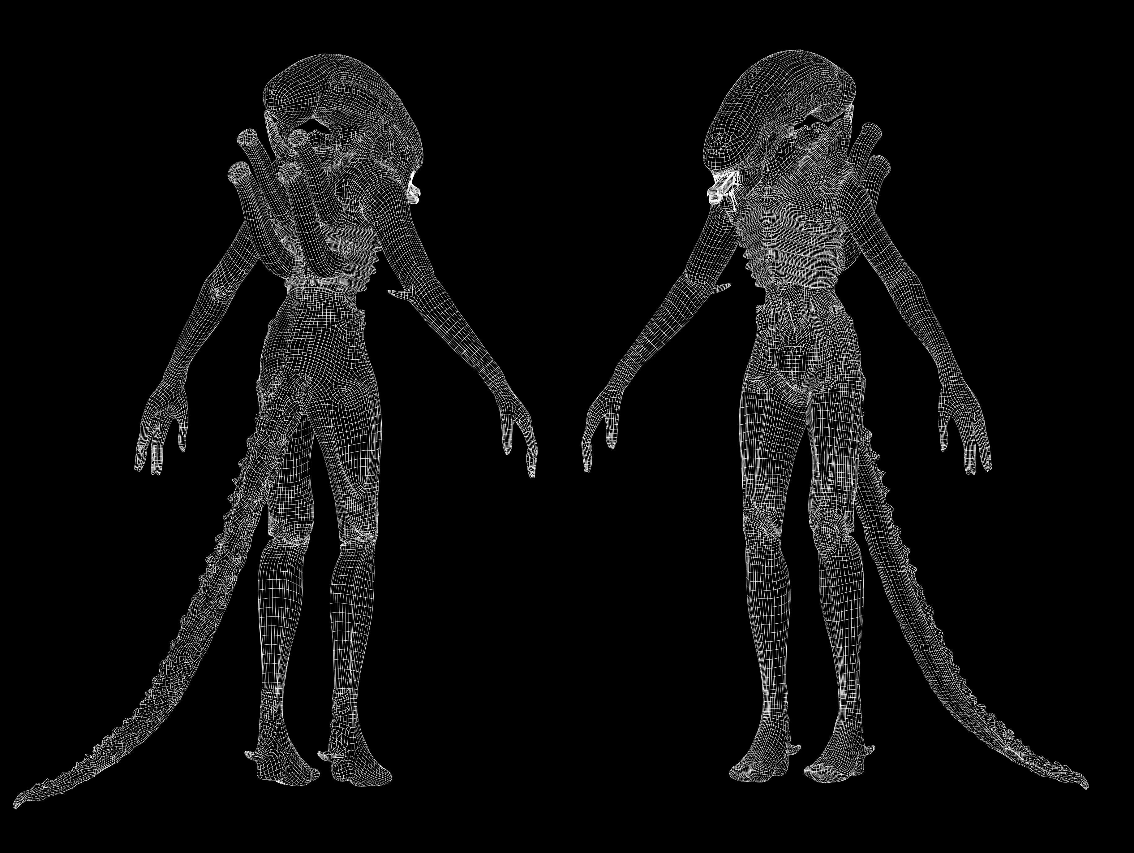 Xenomorph Low-poly 3D model_19