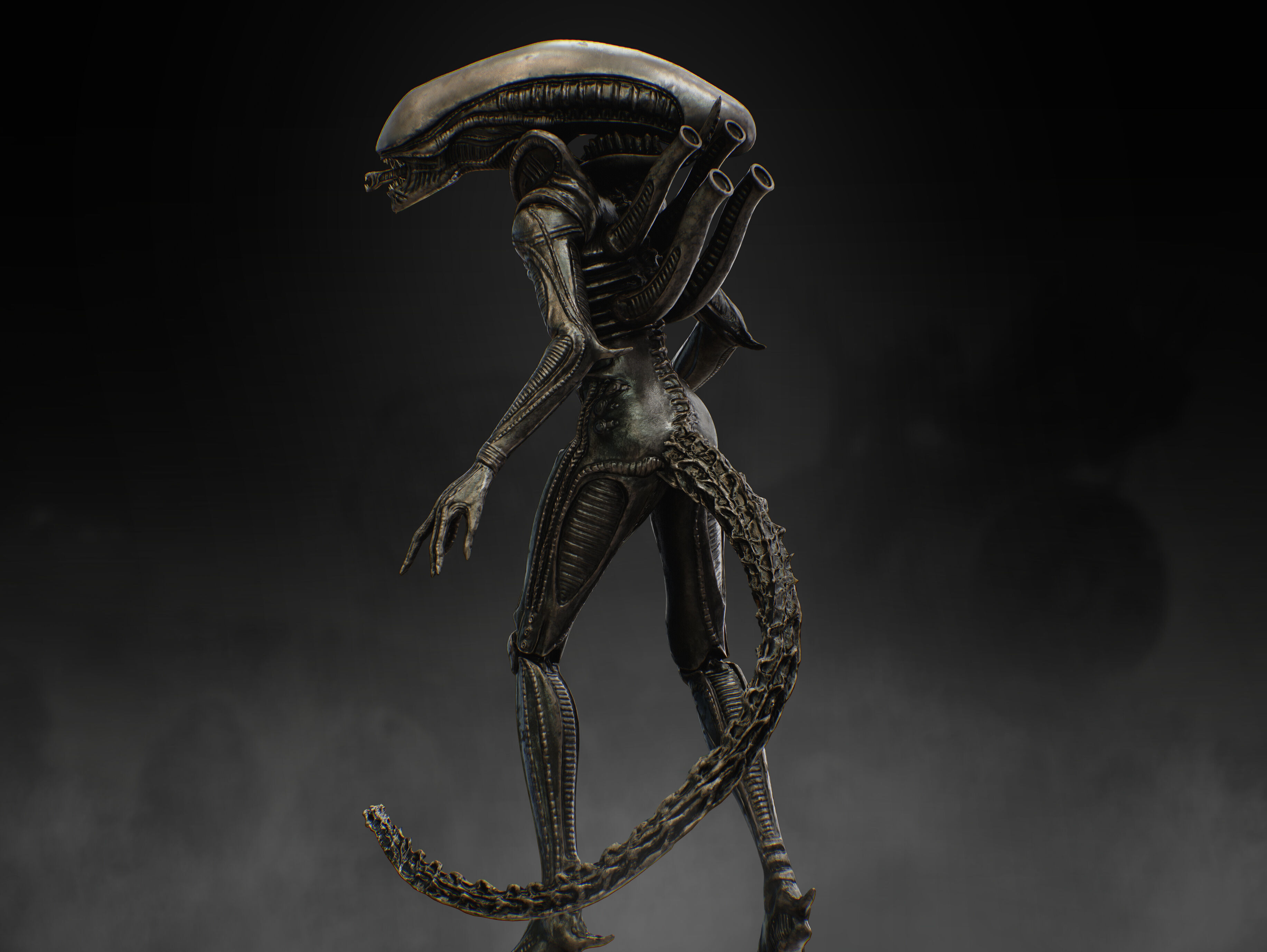 Xenomorph Low-poly 3D model_11