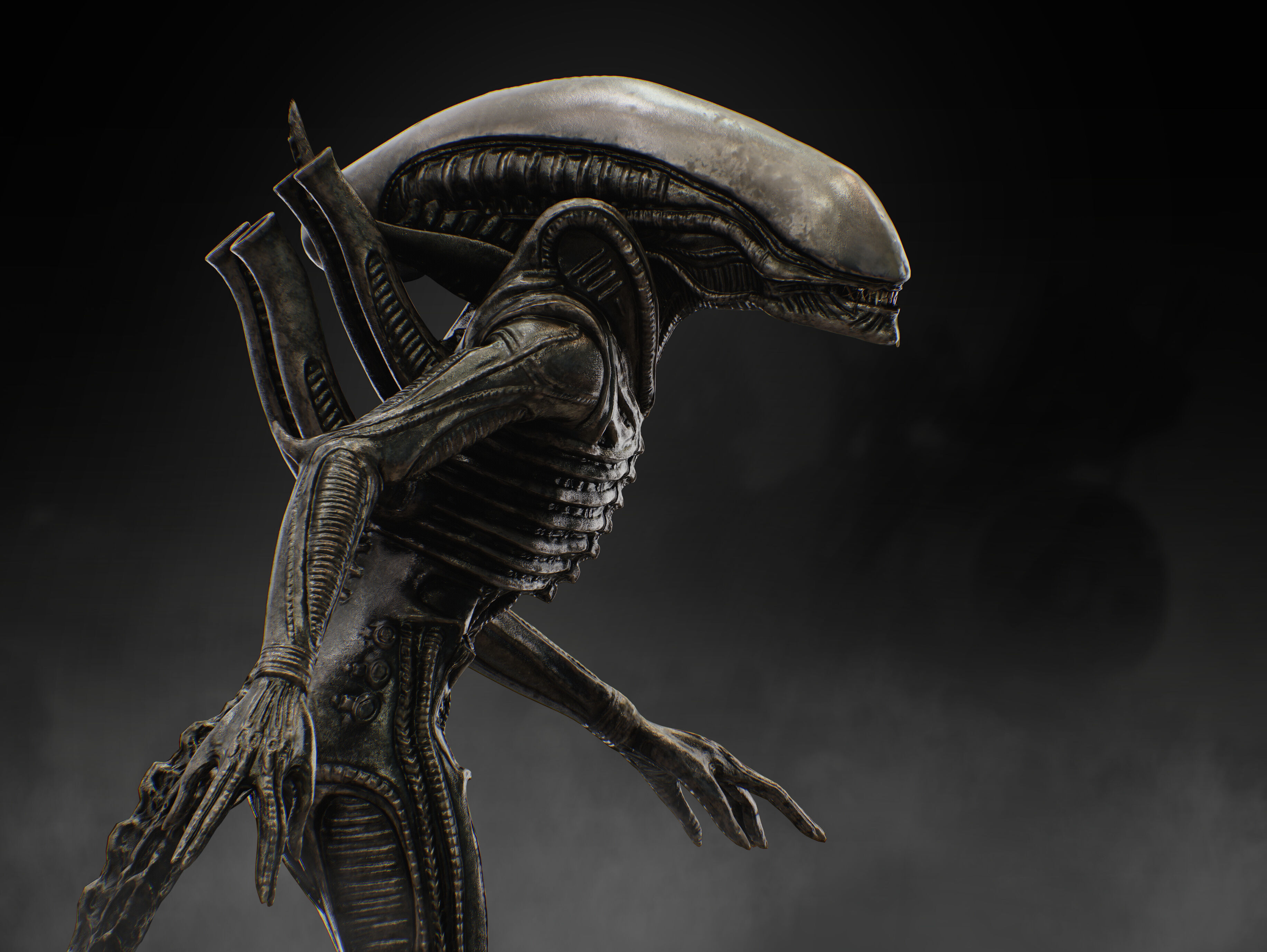 Xenomorph Low-poly 3D model_13