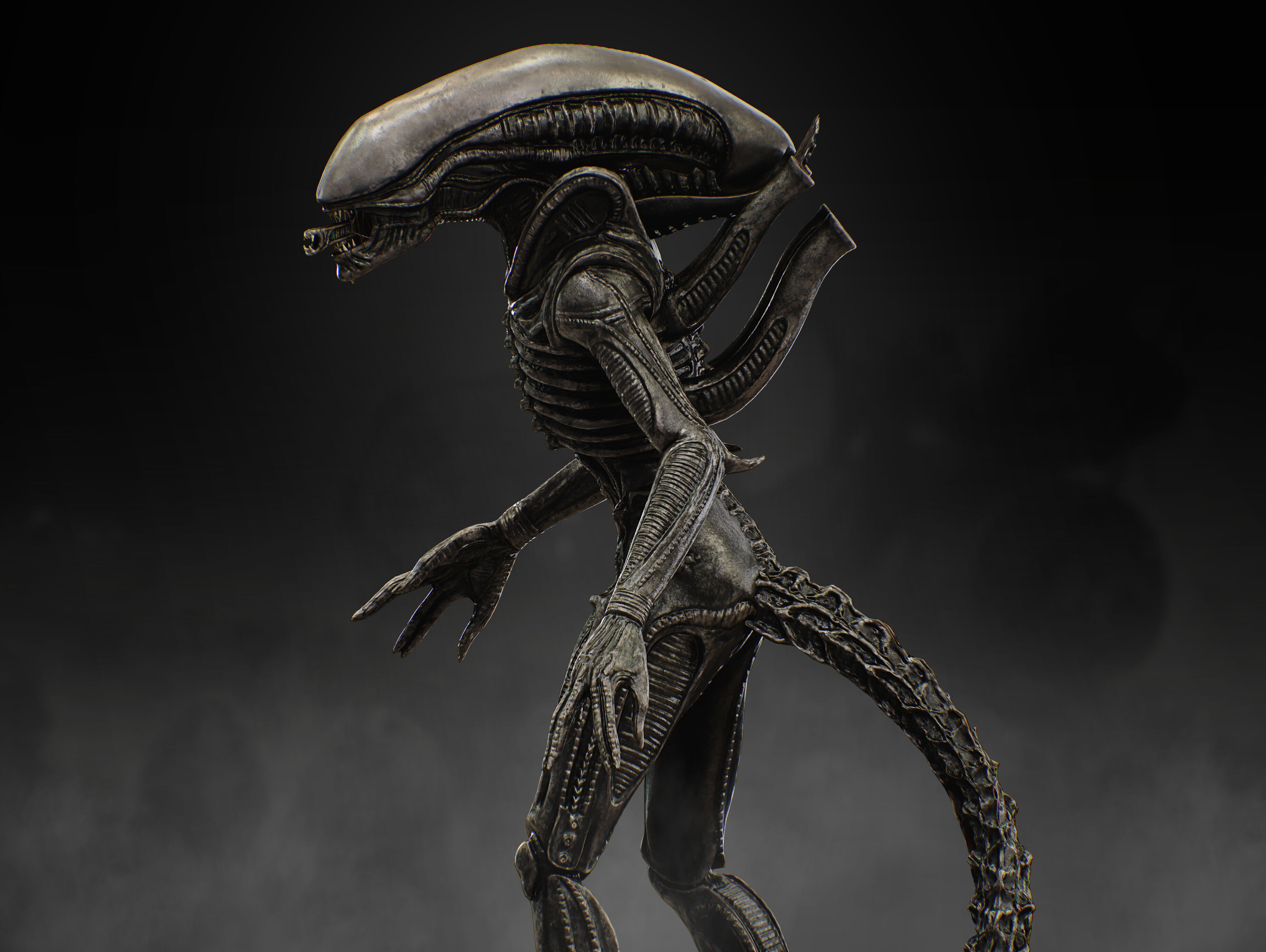 Xenomorph Low-poly 3D model_5
