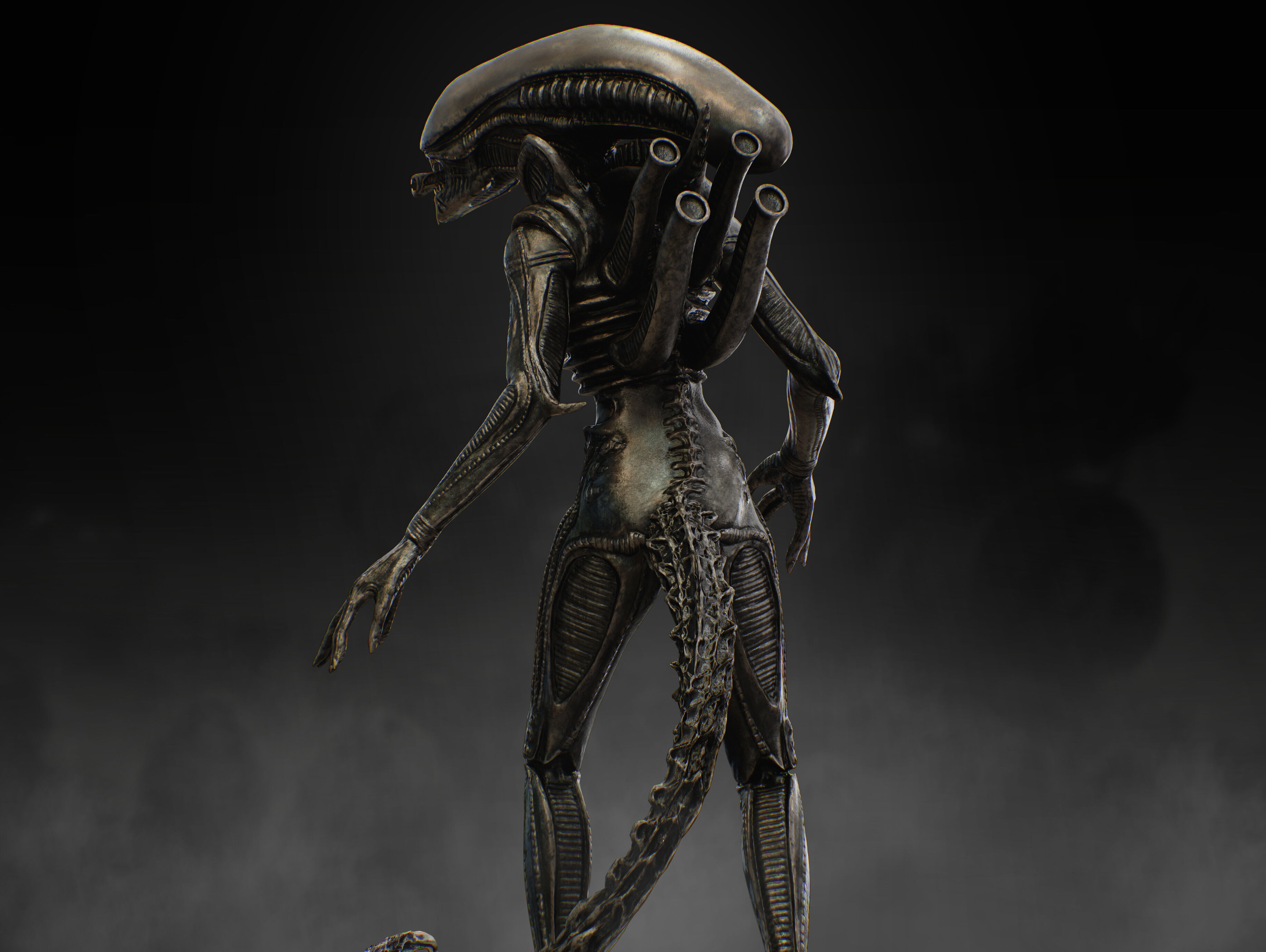 Xenomorph Low-poly 3D model_9