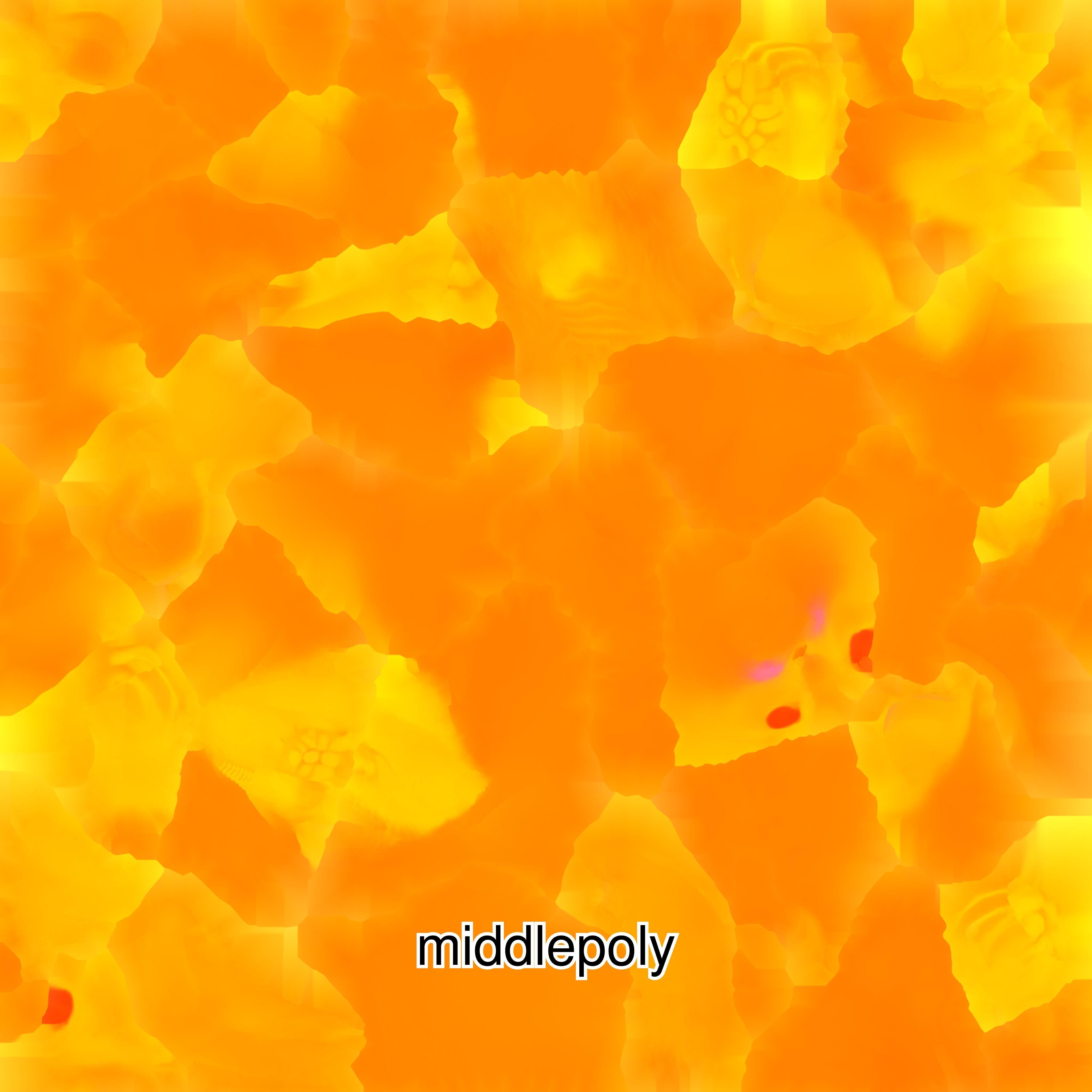 Realistic Siamese Cat 3D Model with Blue Eyes Low-poly 3D model_19