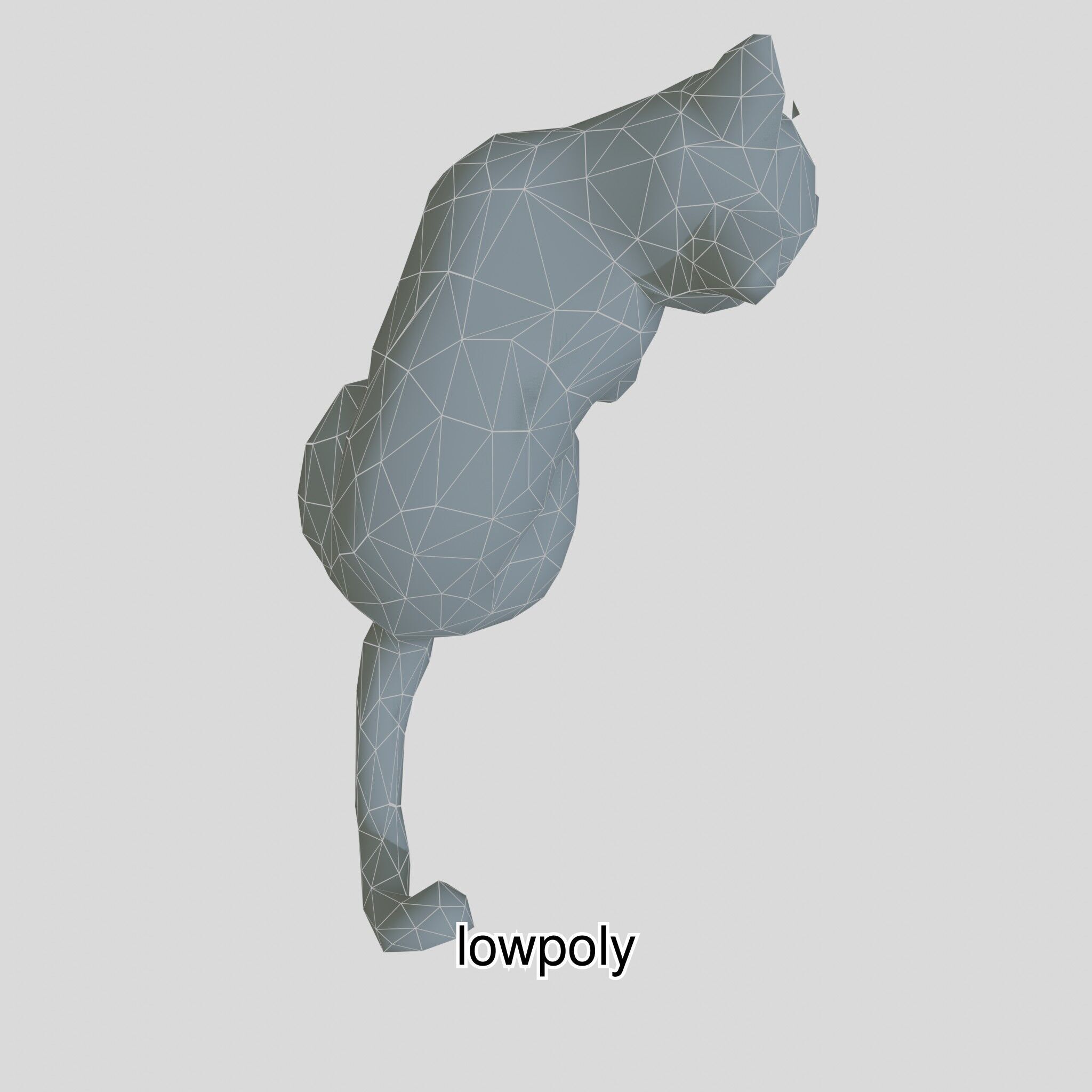 Realistic Siamese Cat 3D Model with Blue Eyes Low-poly 3D model_39