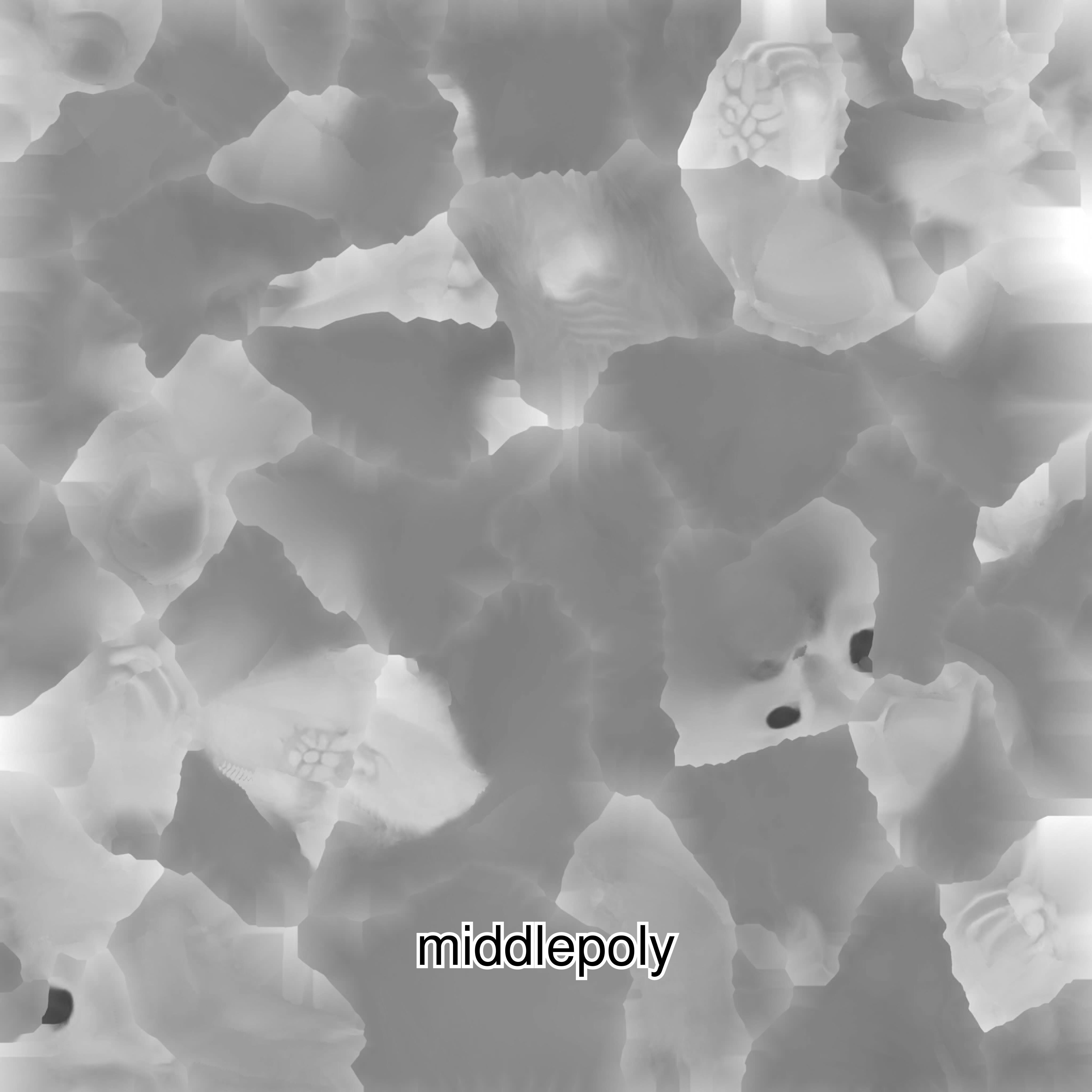 Realistic Siamese Cat 3D Model with Blue Eyes Low-poly 3D model_34