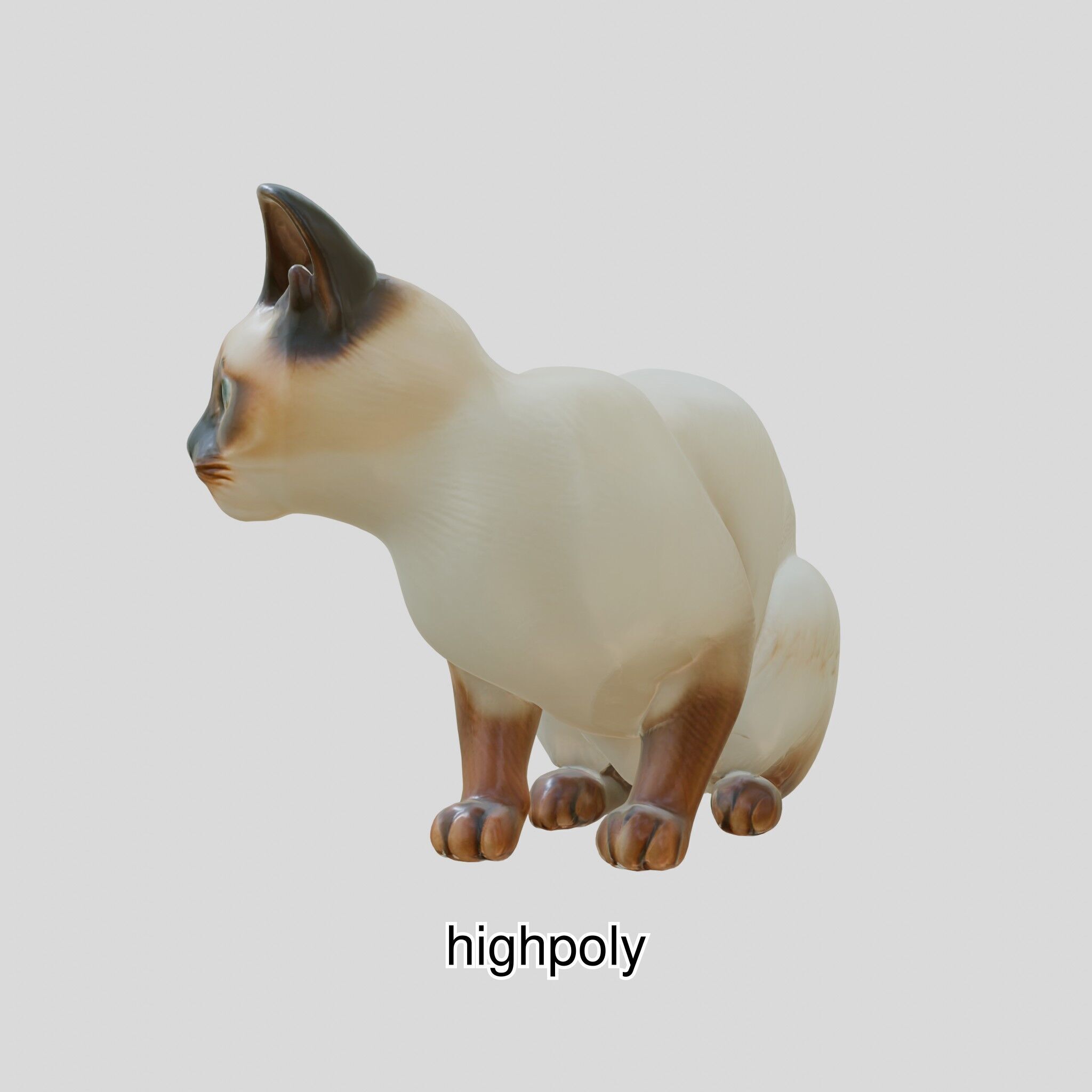 Realistic Siamese Cat 3D Model with Blue Eyes Low-poly 3D model_6