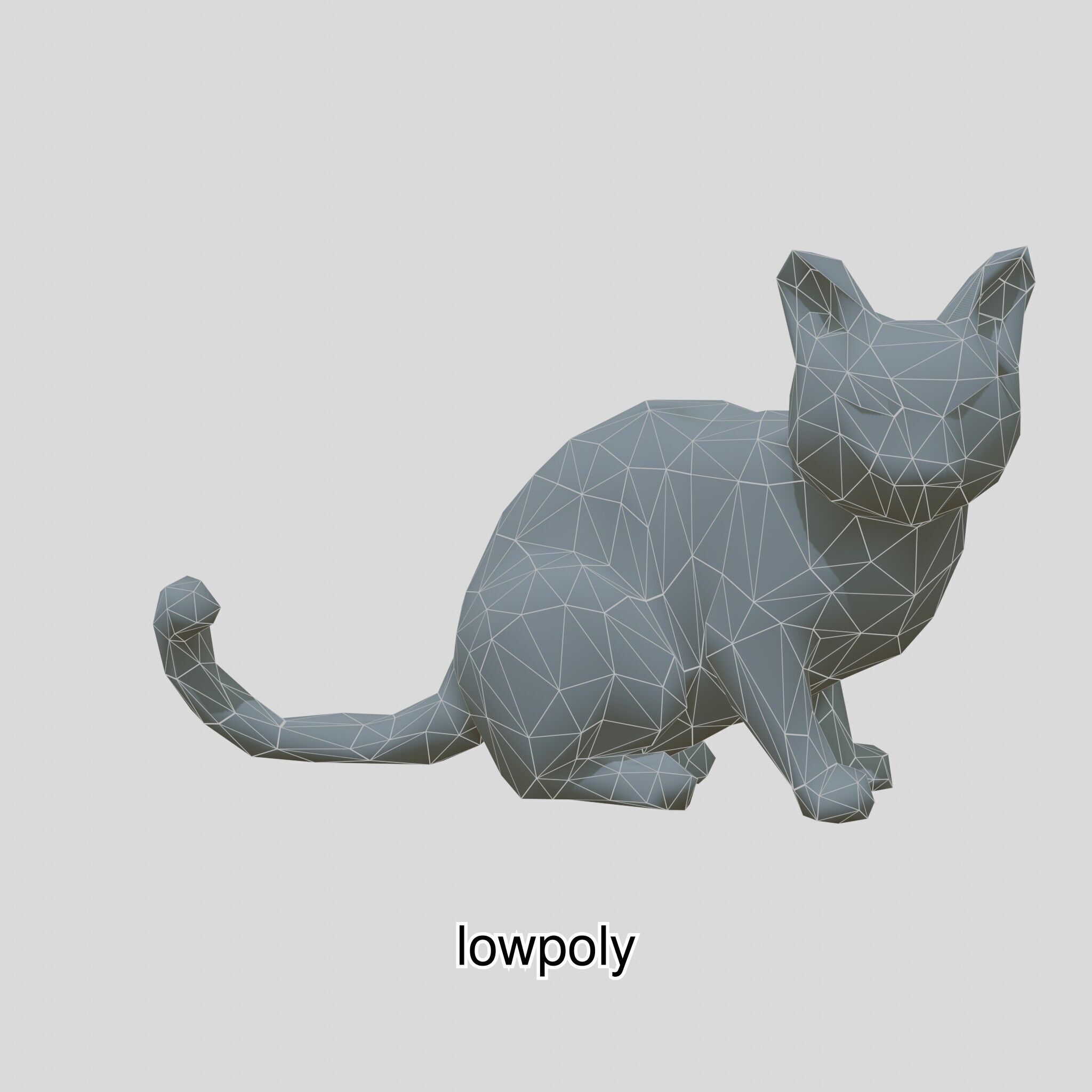 Realistic Siamese Cat 3D Model with Blue Eyes Low-poly 3D model_41