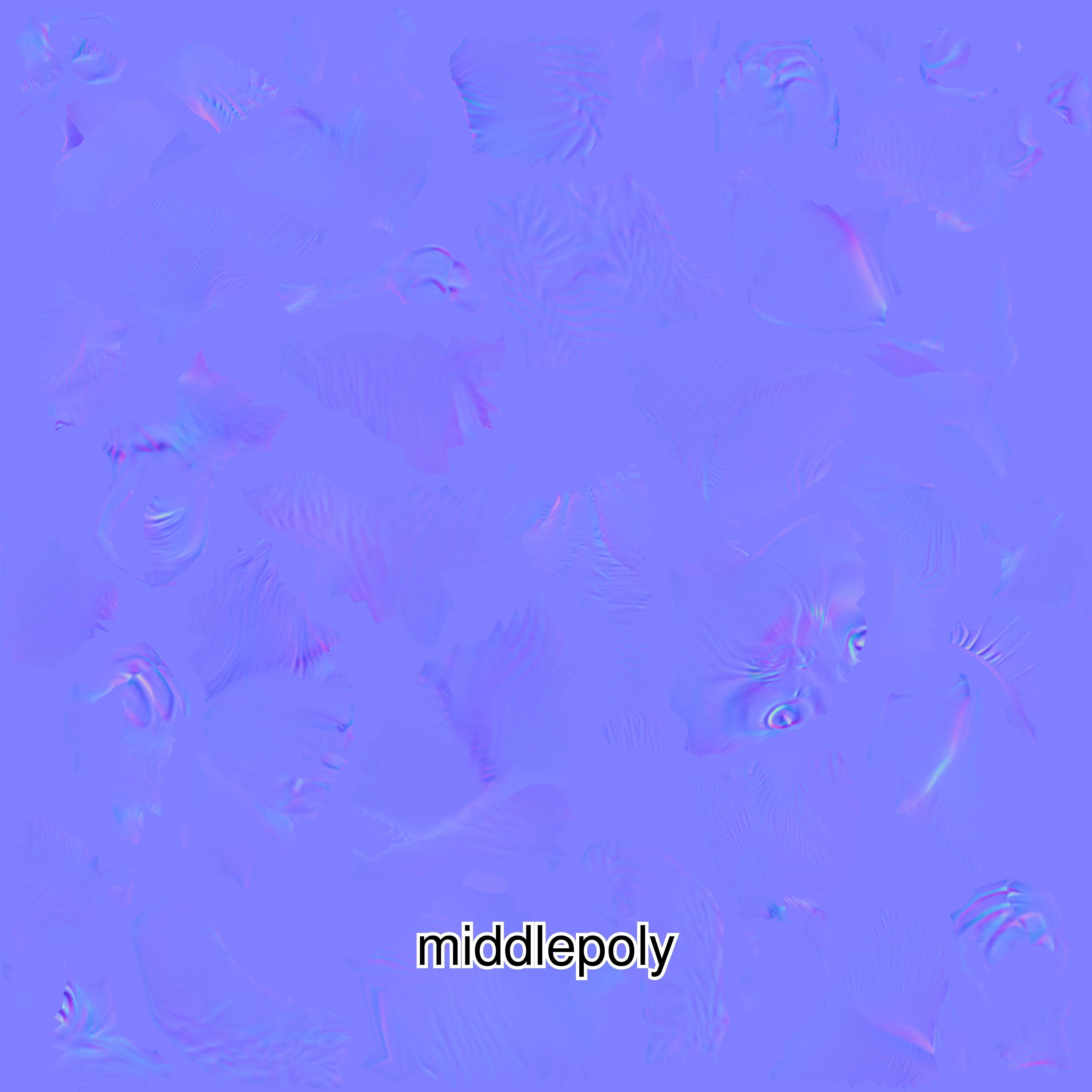 Realistic Siamese Cat 3D Model with Blue Eyes Low-poly 3D model_18