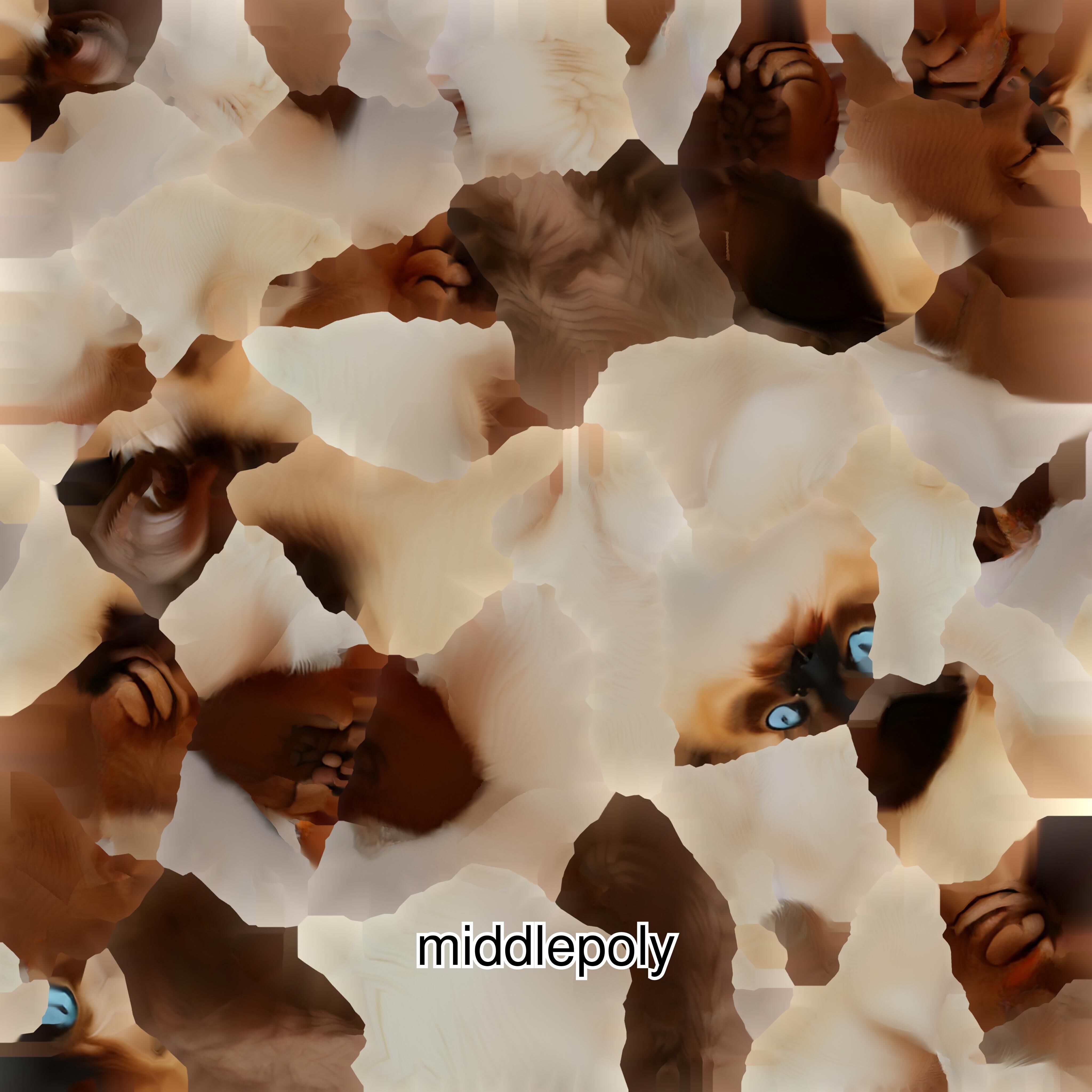 Realistic Siamese Cat 3D Model with Blue Eyes Low-poly 3D model_29