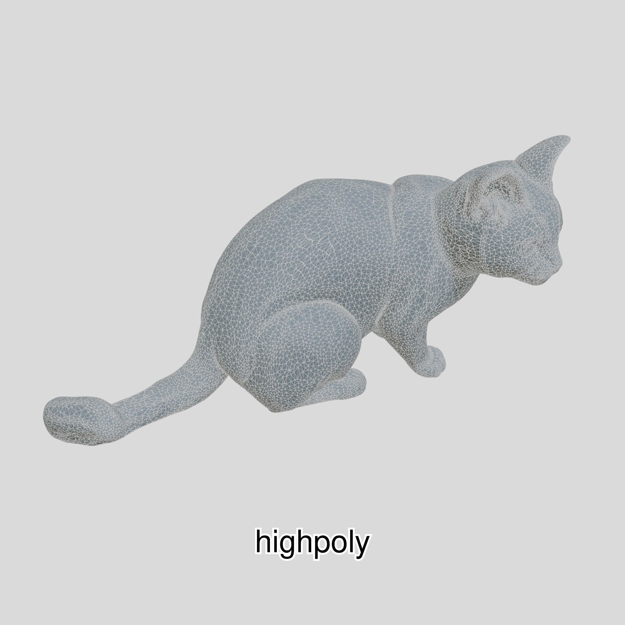 Realistic Siamese Cat 3D Model with Blue Eyes Low-poly 3D model_11