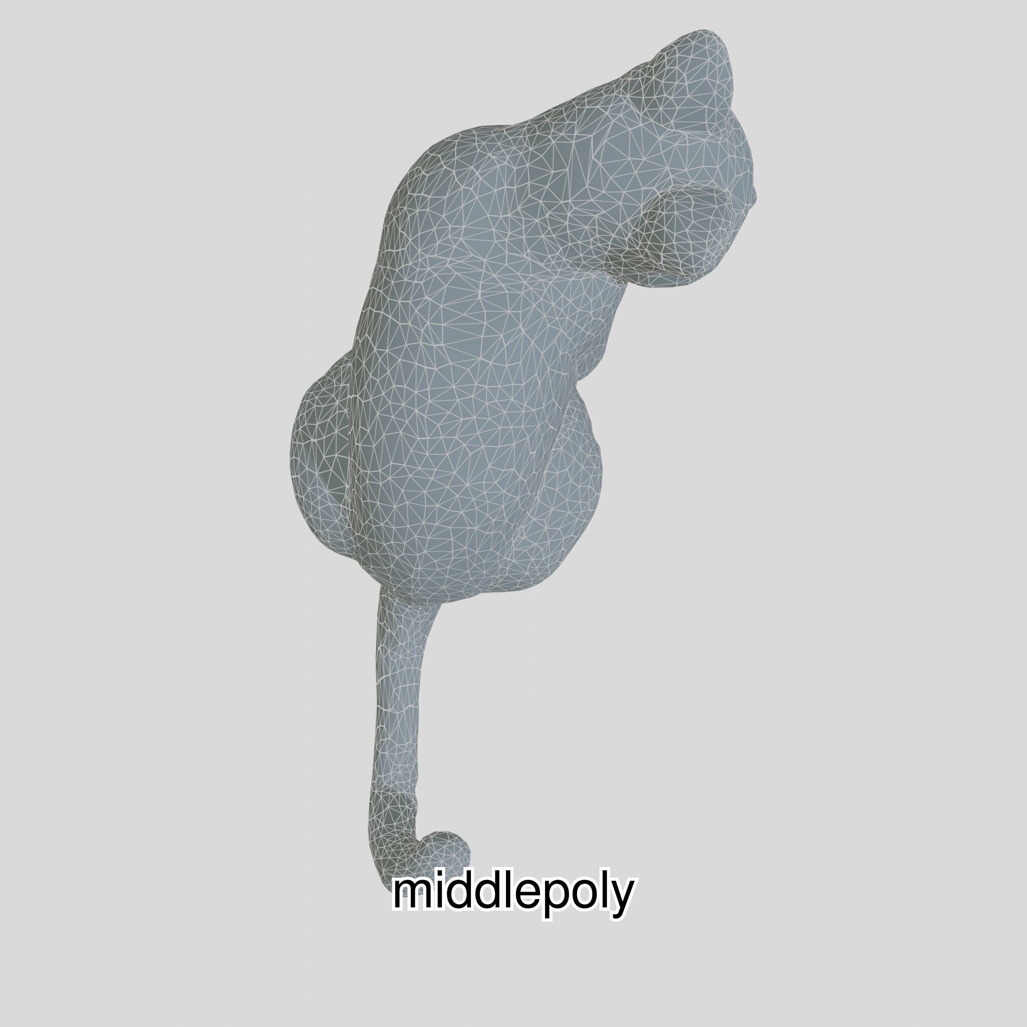 Realistic Siamese Cat 3D Model with Blue Eyes Low-poly 3D model_22