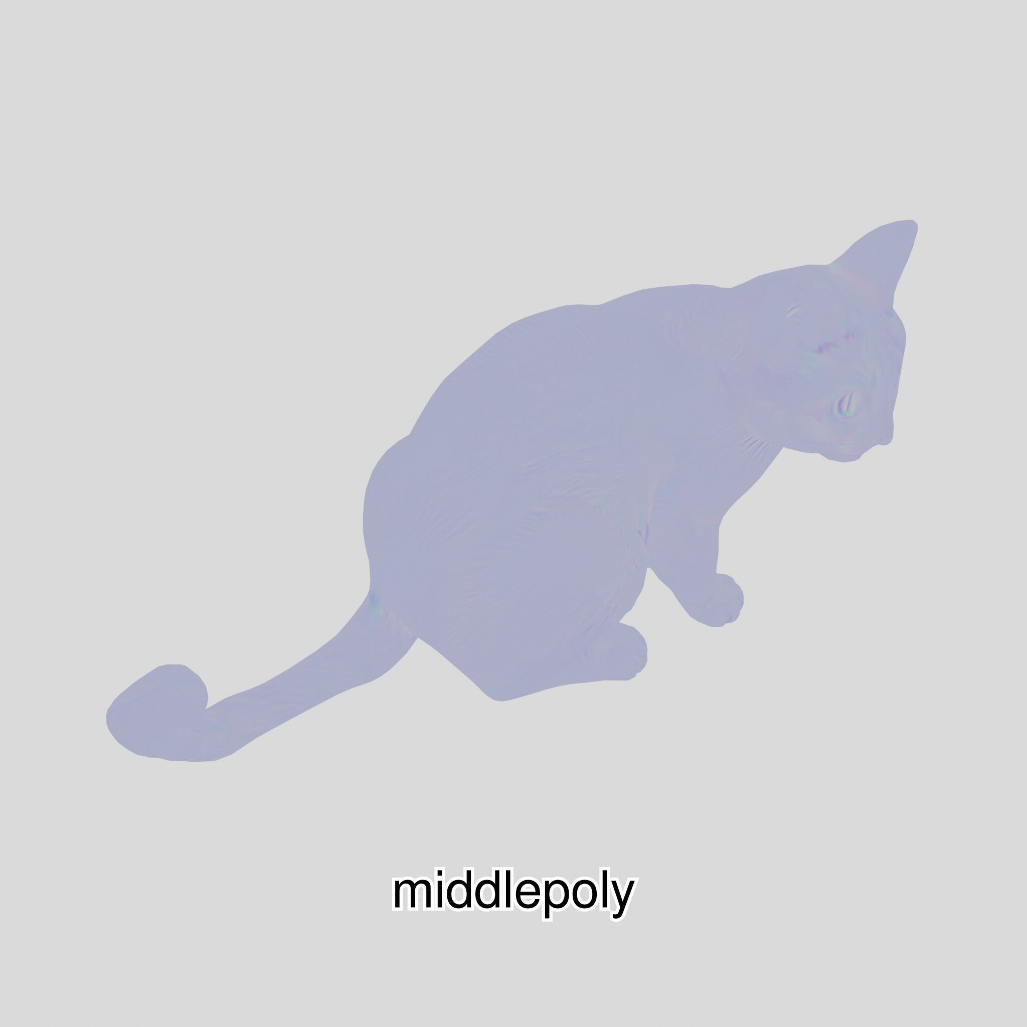 Realistic Siamese Cat 3D Model with Blue Eyes Low-poly 3D model_31