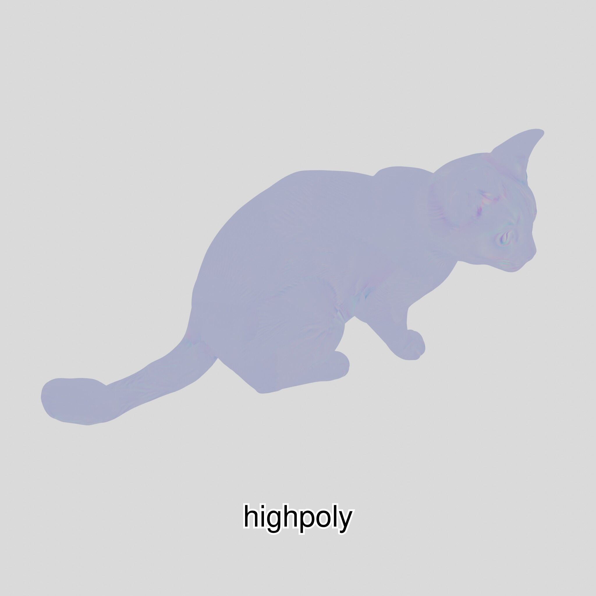 Realistic Siamese Cat 3D Model with Blue Eyes Low-poly 3D model_14