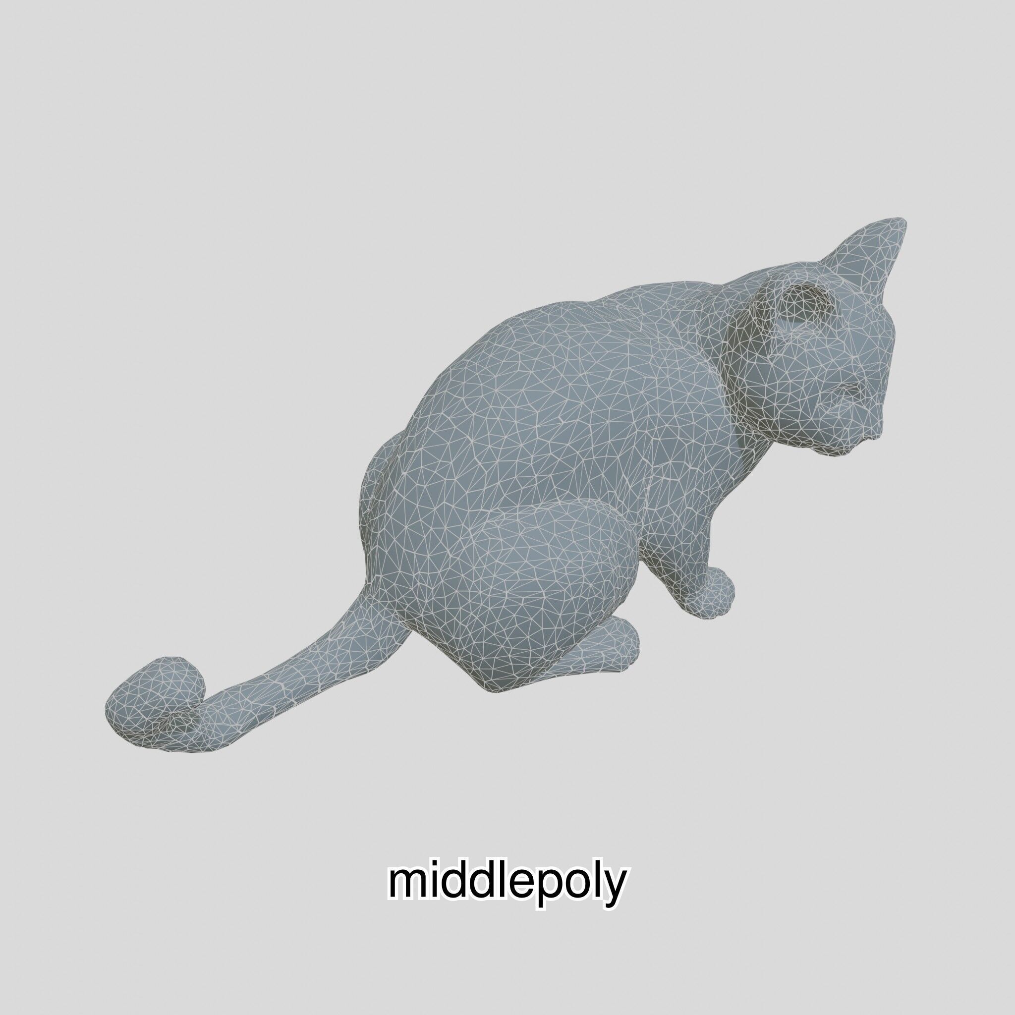 Realistic Siamese Cat 3D Model with Blue Eyes Low-poly 3D model_28