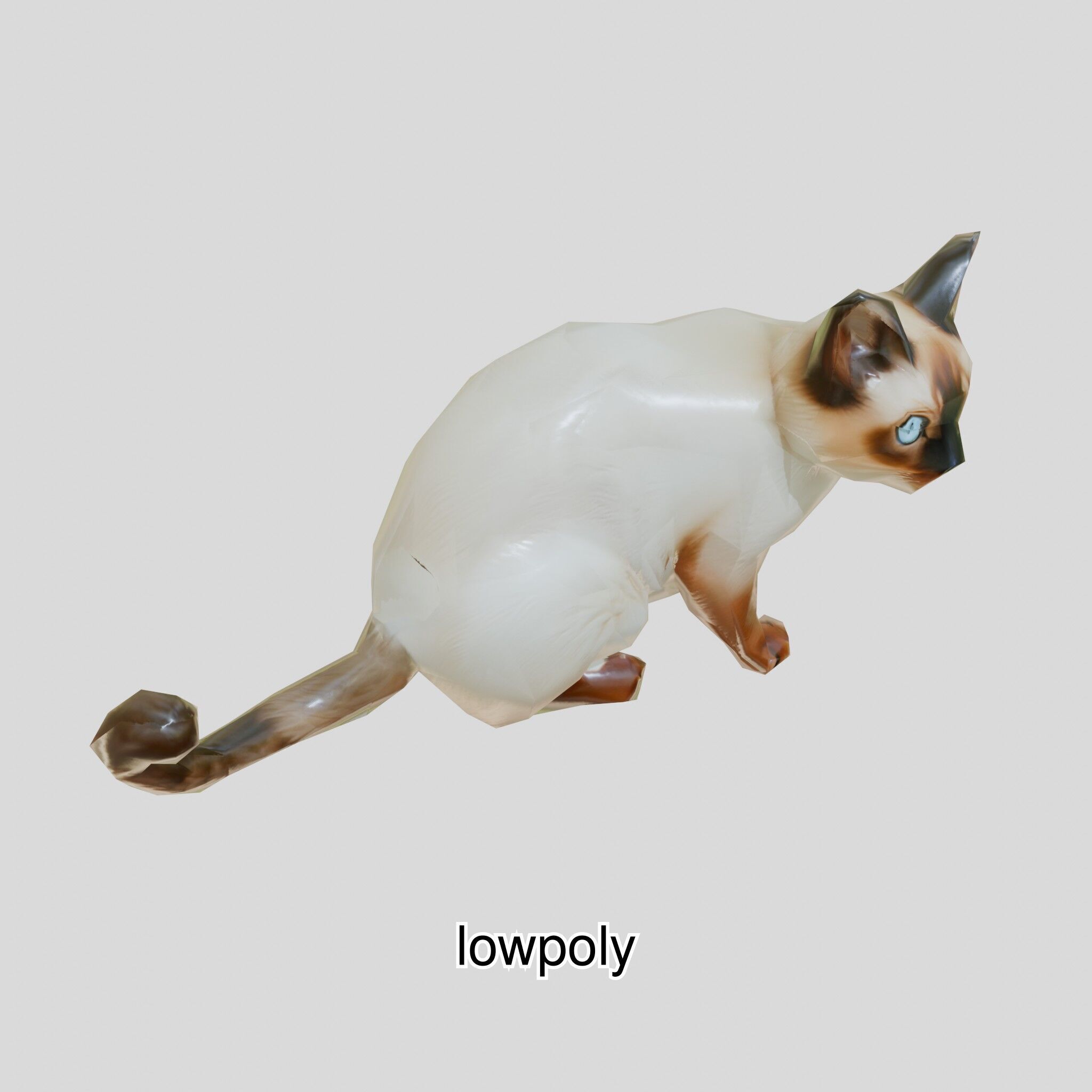 Realistic Siamese Cat 3D Model with Blue Eyes Low-poly 3D model_38
