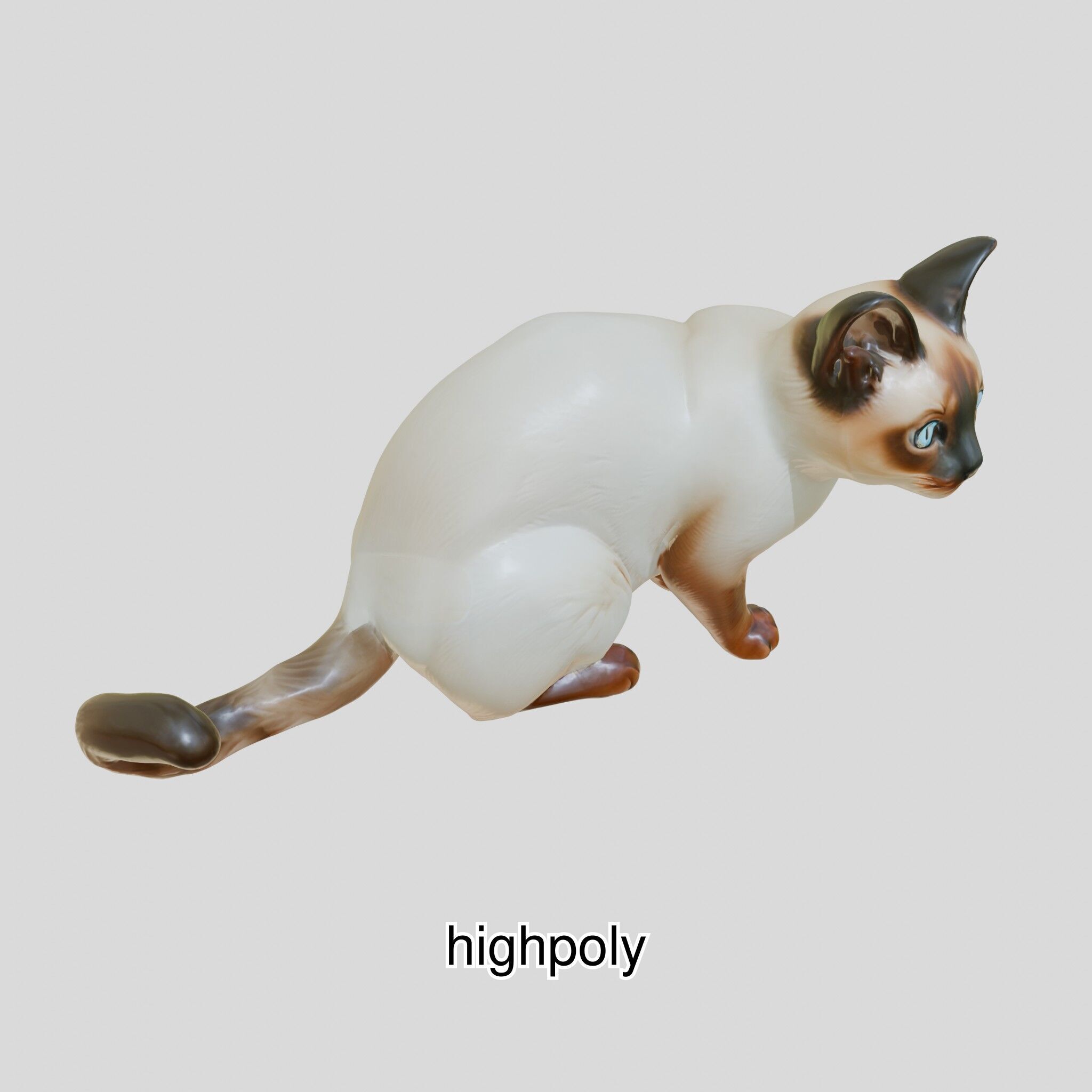 Realistic Siamese Cat 3D Model with Blue Eyes Low-poly 3D model_4