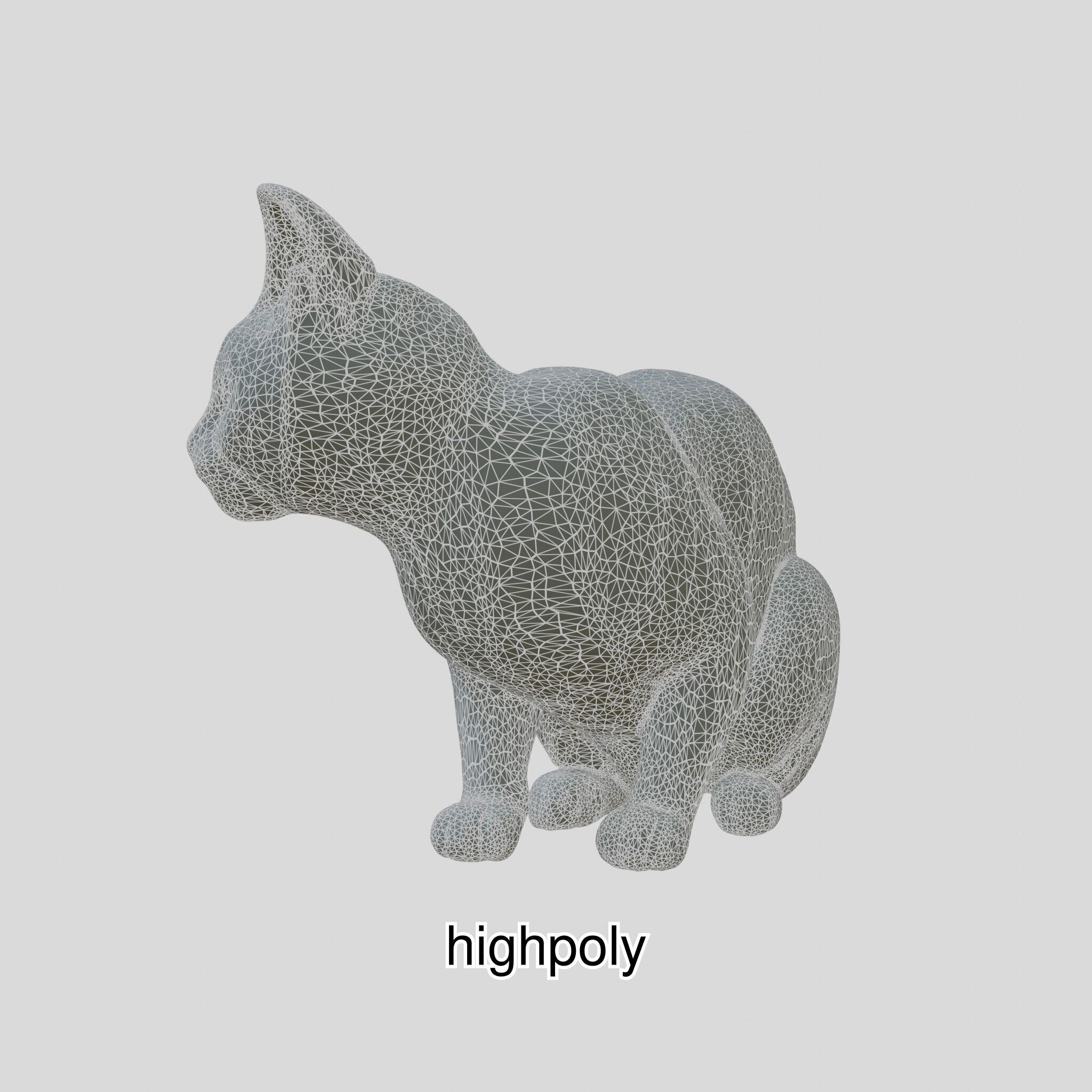 Realistic Siamese Cat 3D Model with Blue Eyes Low-poly 3D model_10