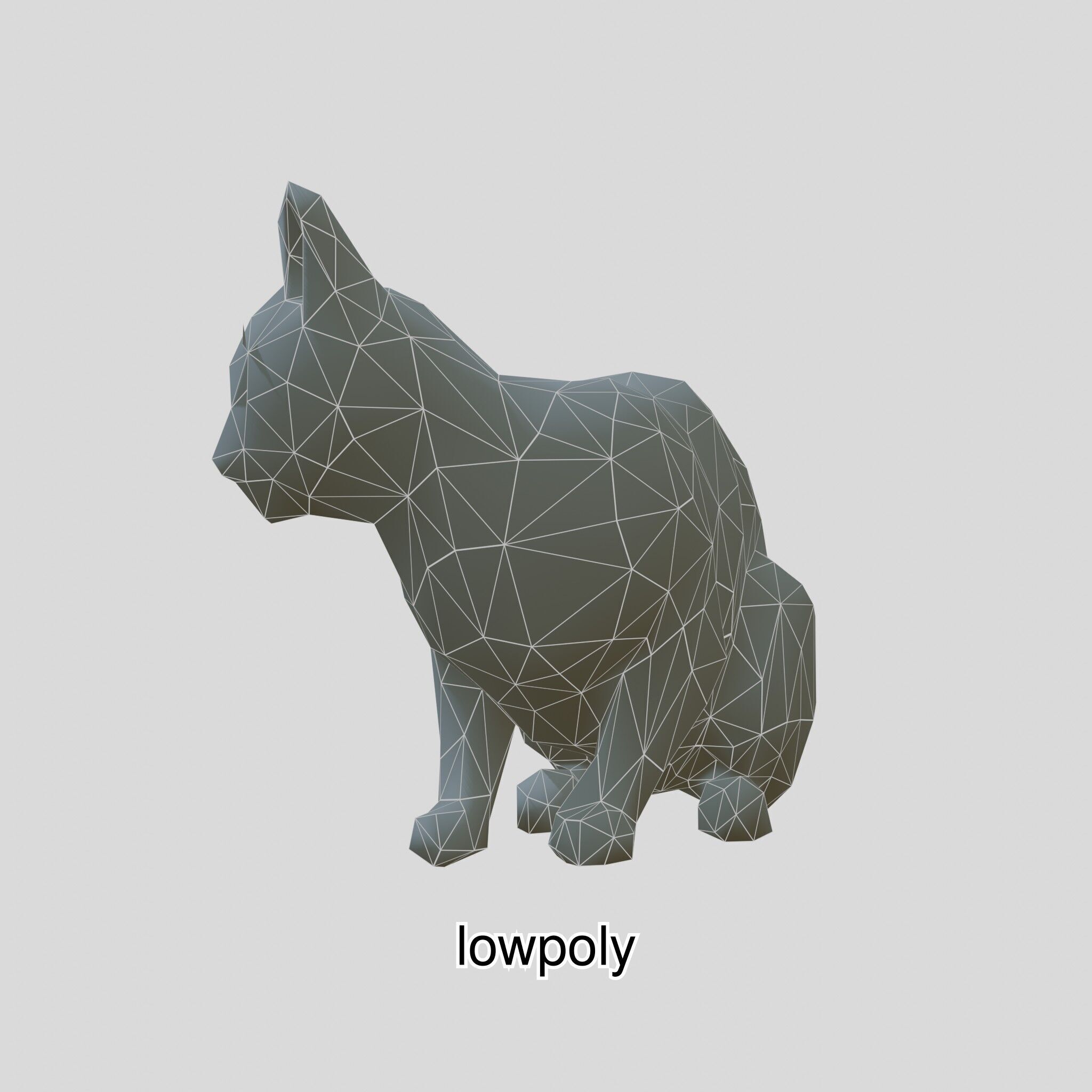 Realistic Siamese Cat 3D Model with Blue Eyes Low-poly 3D model_44