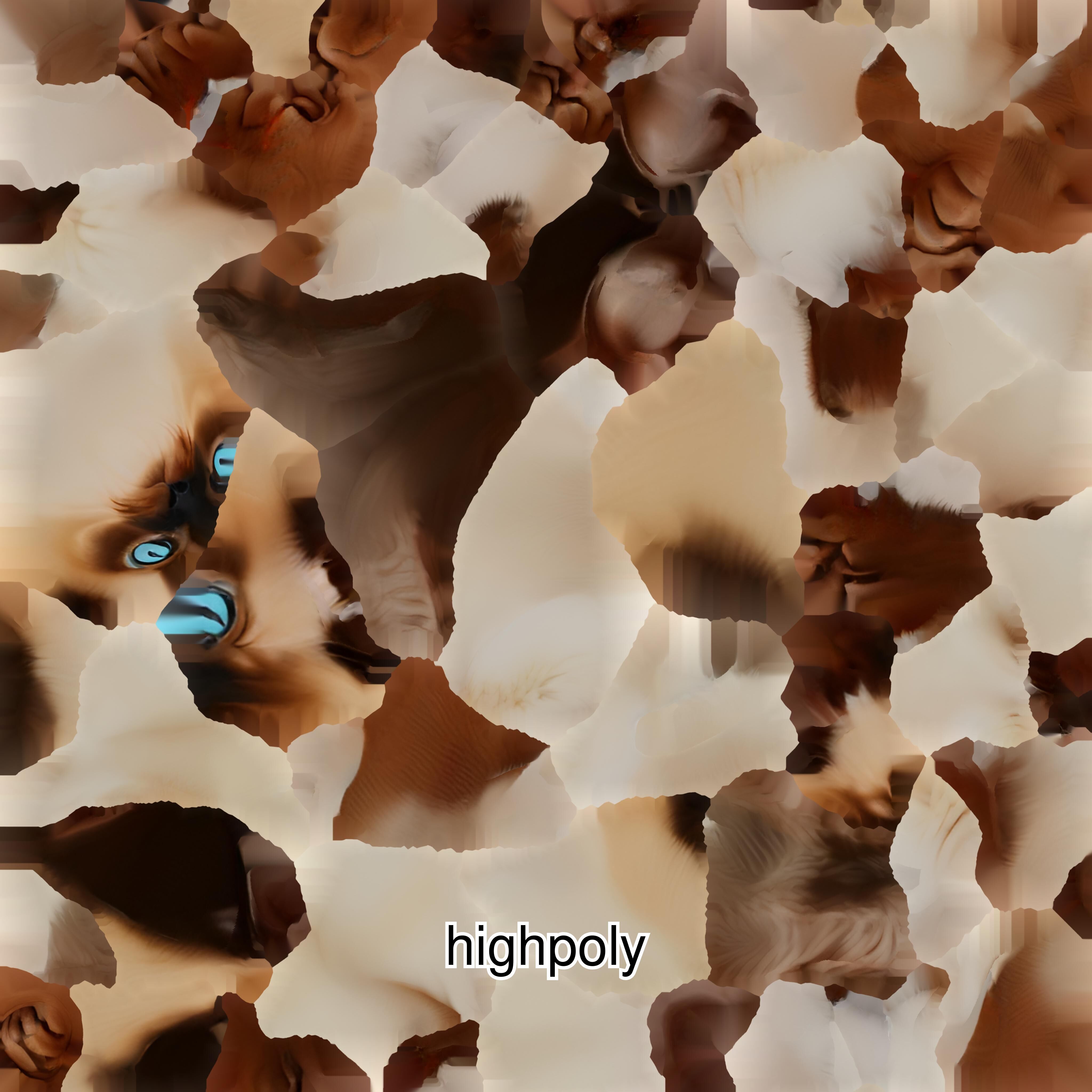 Realistic Siamese Cat 3D Model with Blue Eyes Low-poly 3D model_12