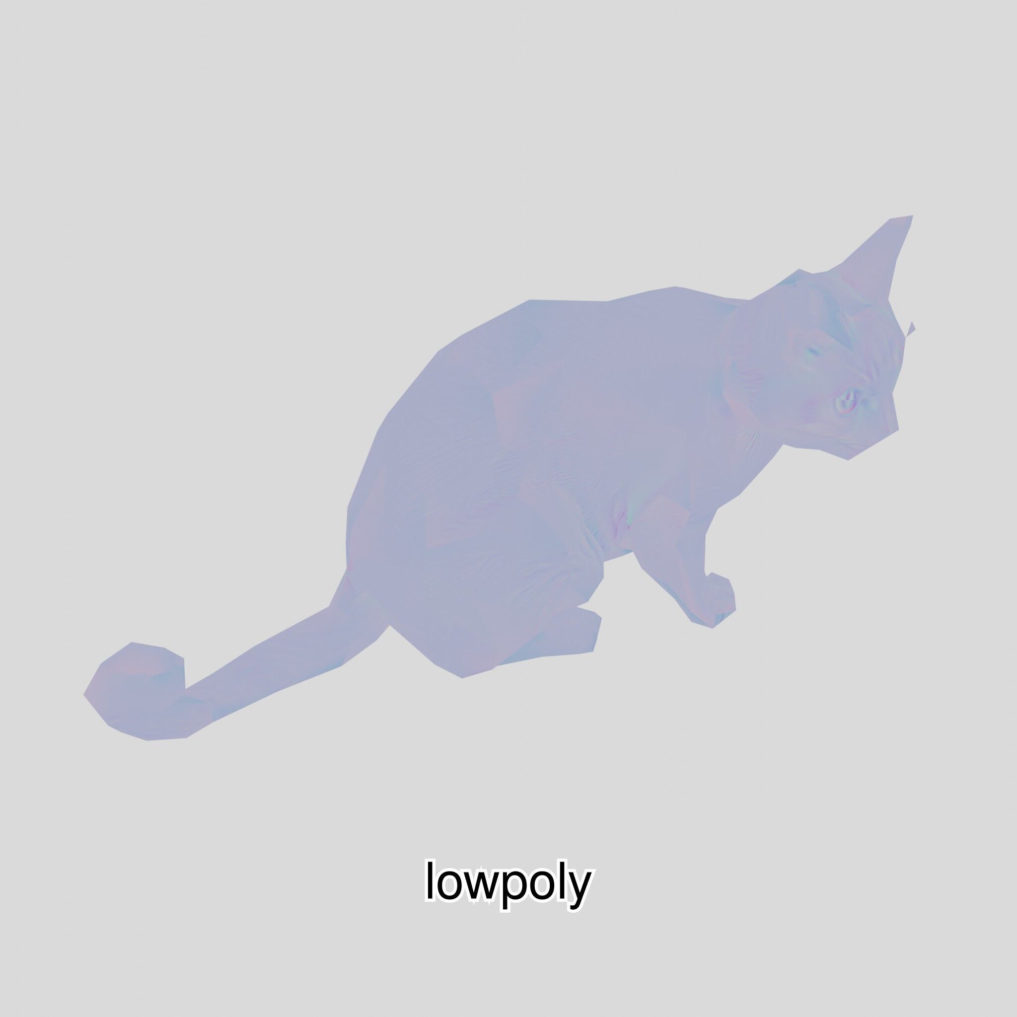 Realistic Siamese Cat 3D Model with Blue Eyes Low-poly 3D model_48