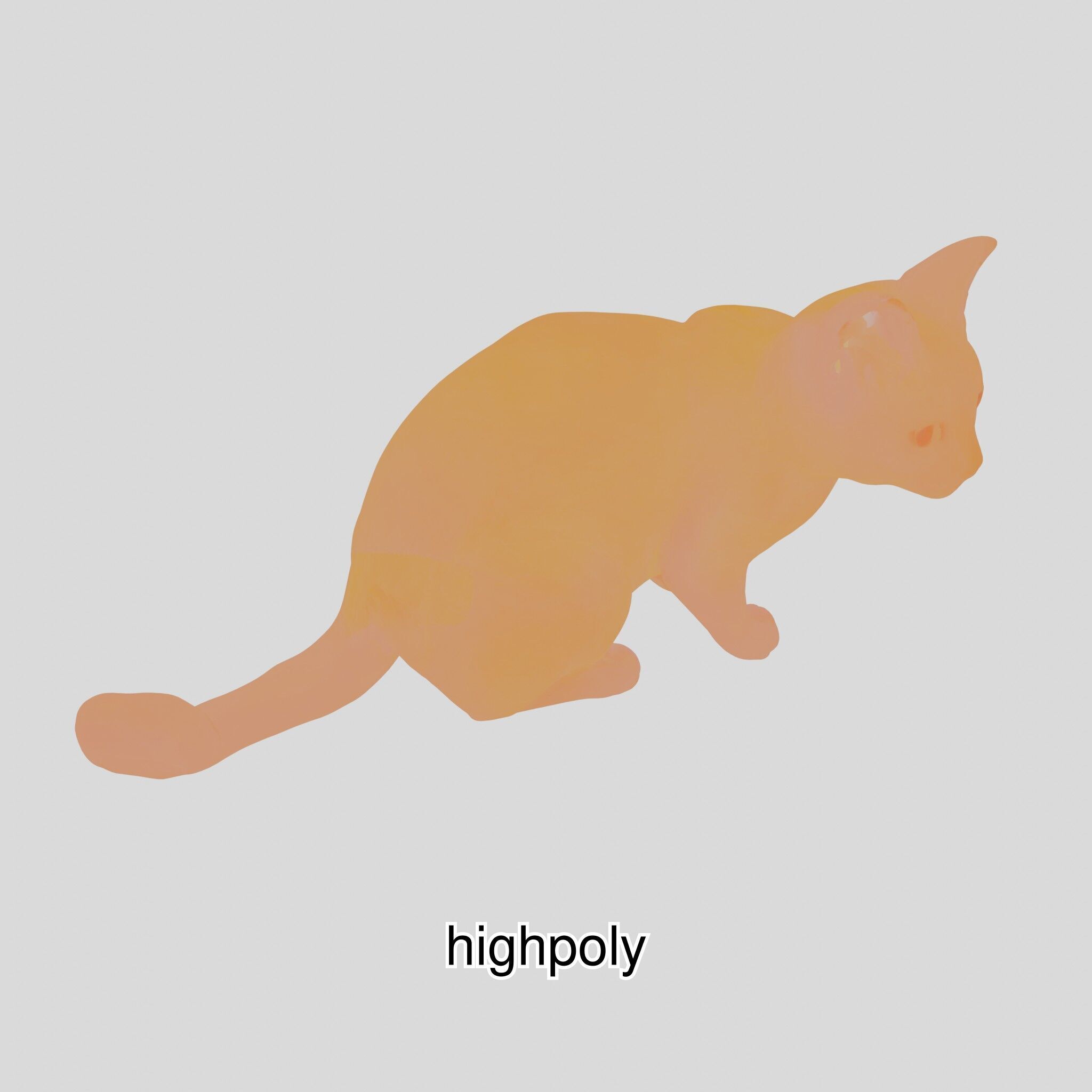 Realistic Siamese Cat 3D Model with Blue Eyes Low-poly 3D model_15