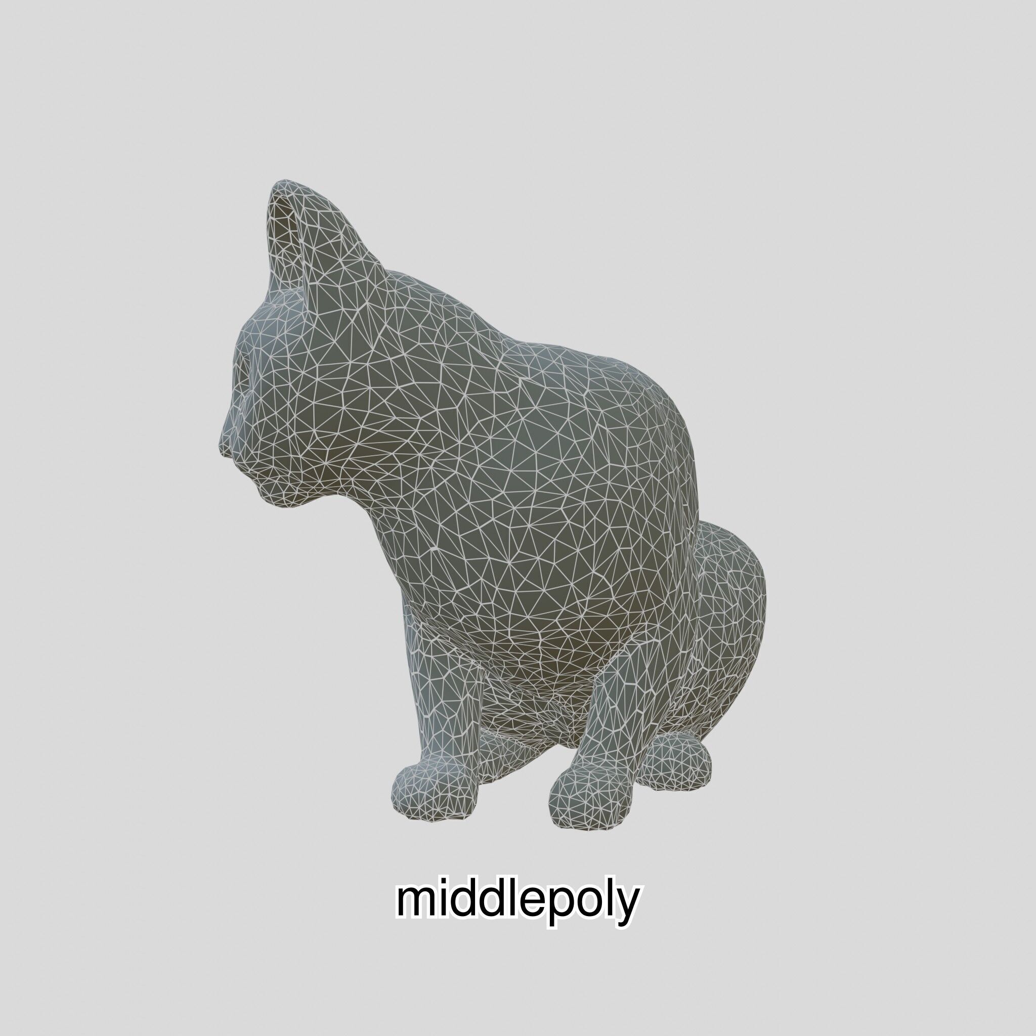 Realistic Siamese Cat 3D Model with Blue Eyes Low-poly 3D model_27