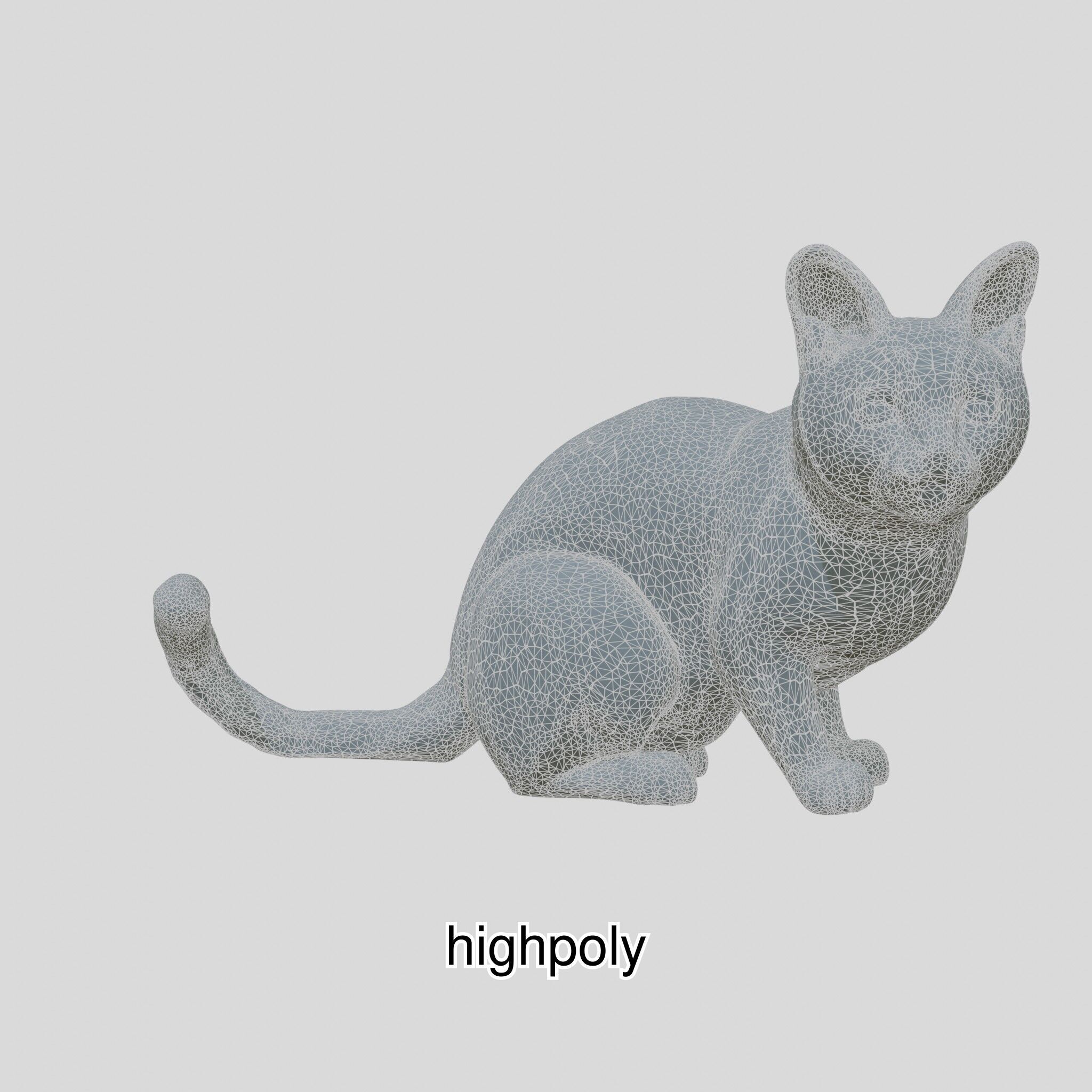 Realistic Siamese Cat 3D Model with Blue Eyes Low-poly 3D model_7