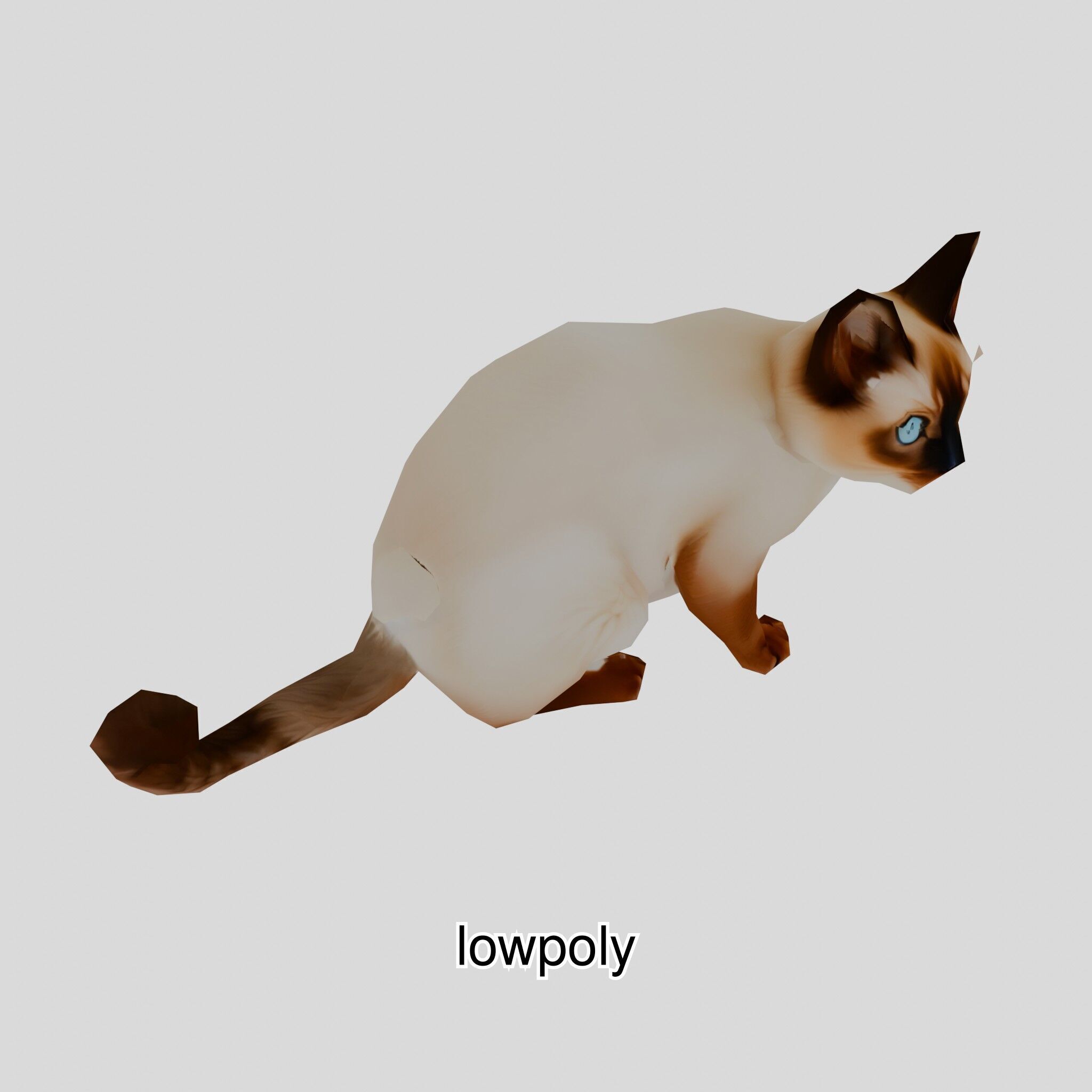 Realistic Siamese Cat 3D Model with Blue Eyes Low-poly 3D model_47