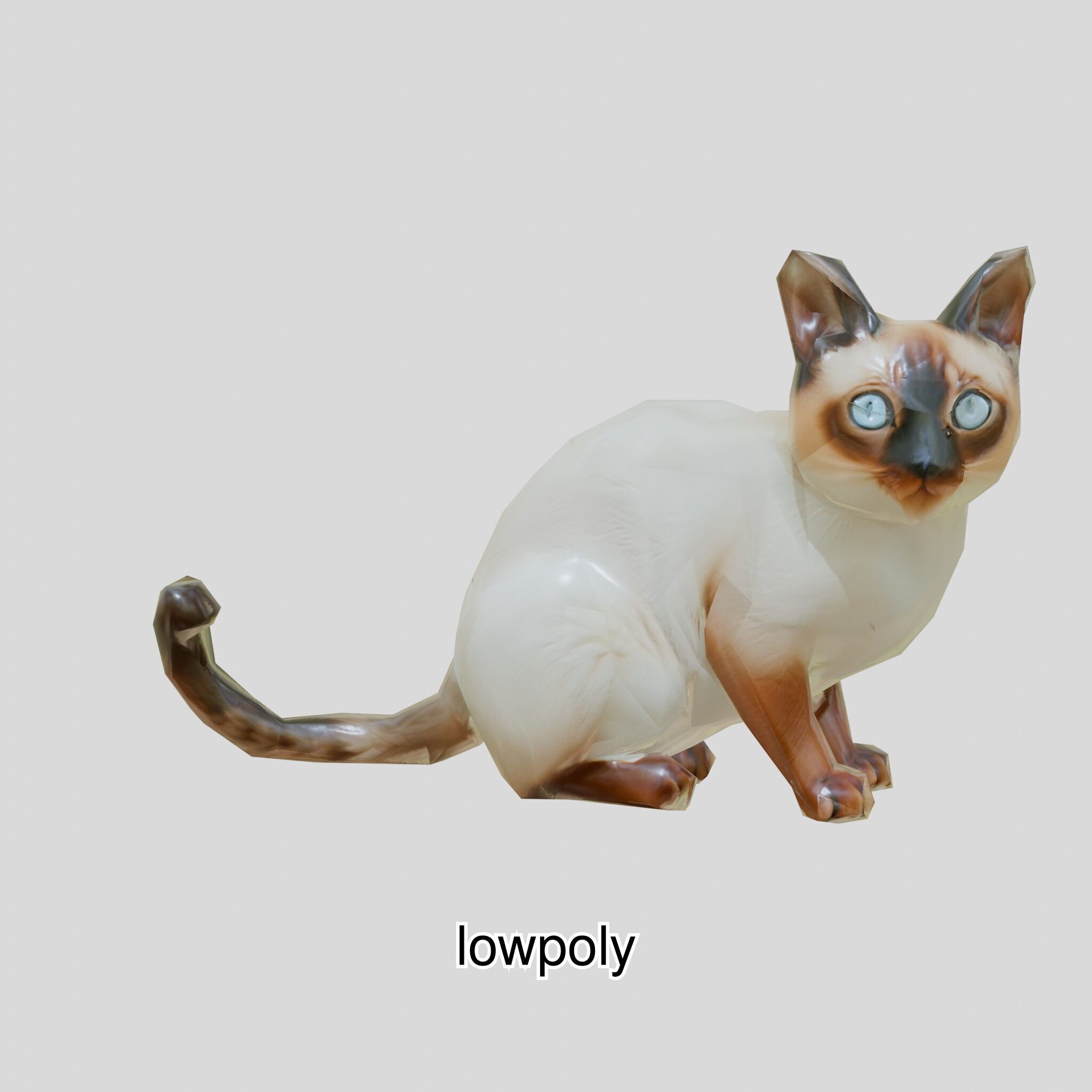 Realistic Siamese Cat 3D Model with Blue Eyes Low-poly 3D model_43