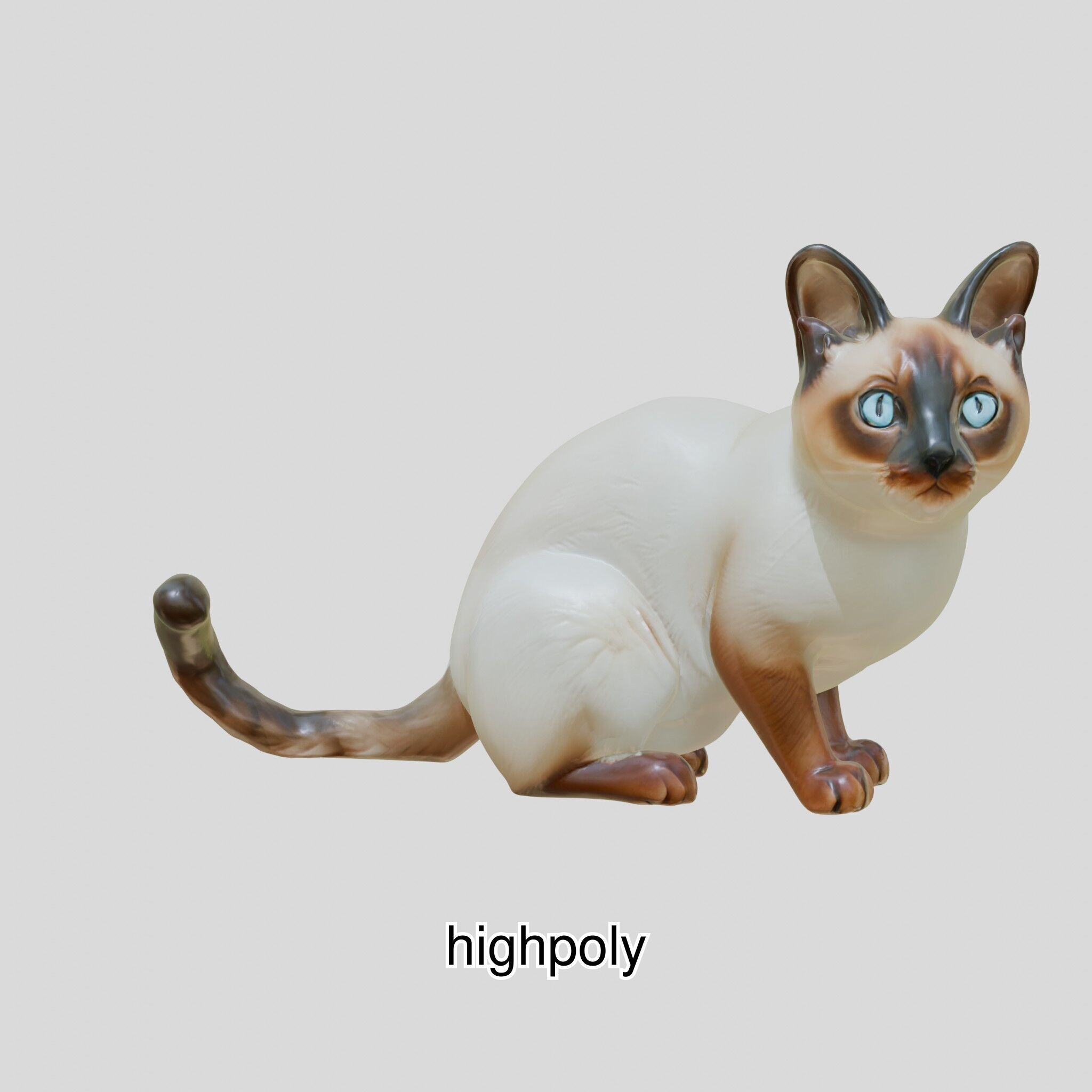Realistic Siamese Cat 3D Model with Blue Eyes Low-poly 3D model_9