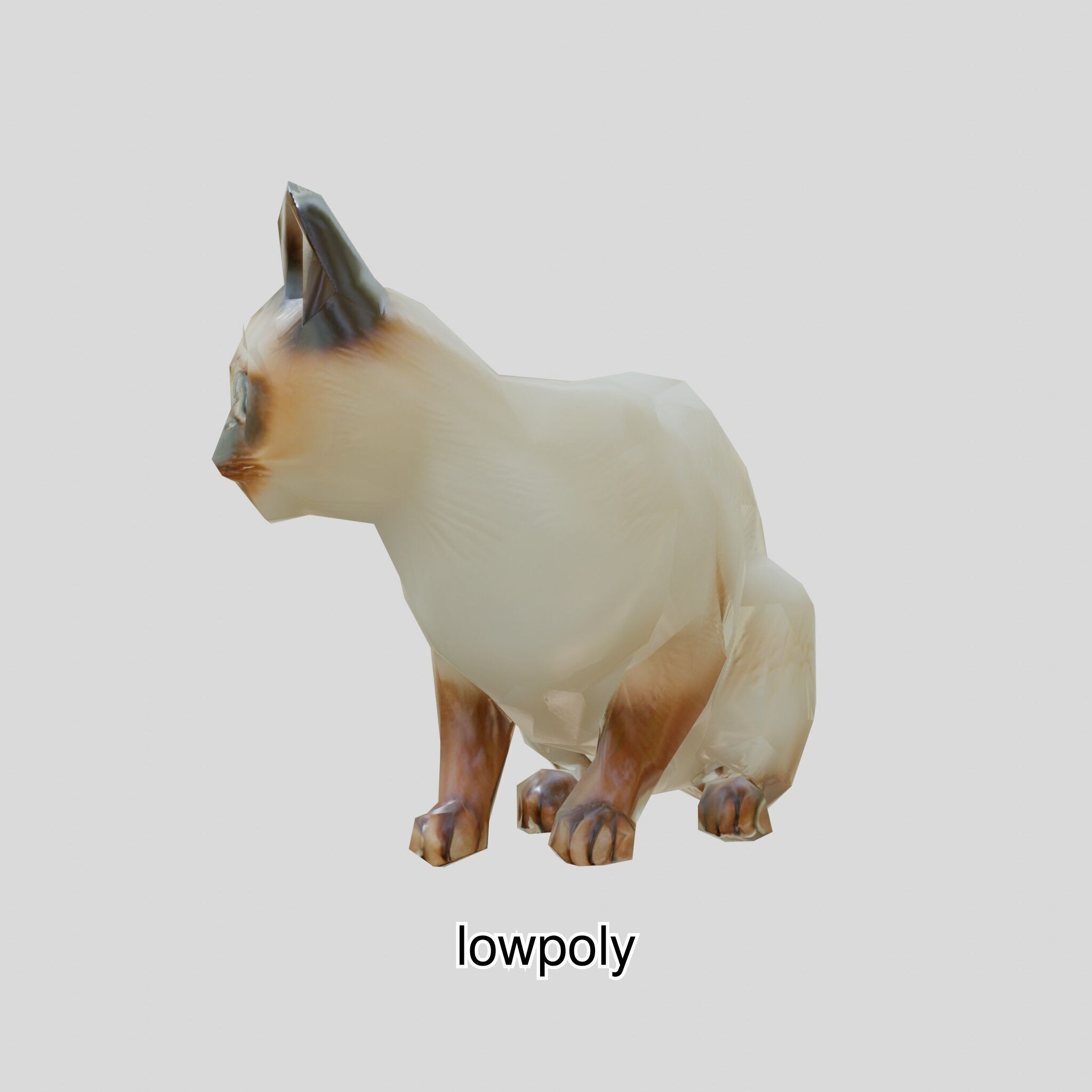 Realistic Siamese Cat 3D Model with Blue Eyes Low-poly 3D model_40