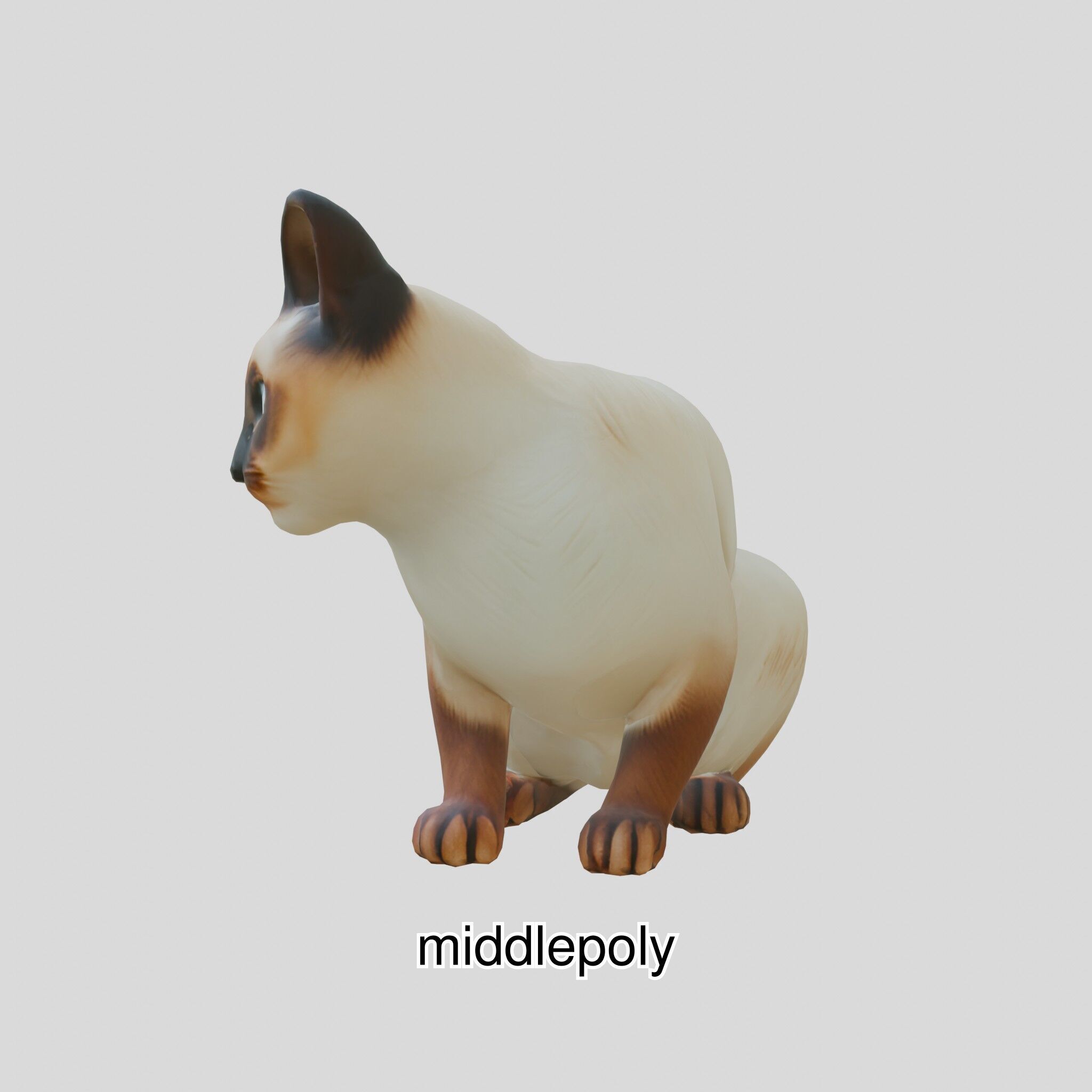 Realistic Siamese Cat 3D Model with Blue Eyes Low-poly 3D model_23