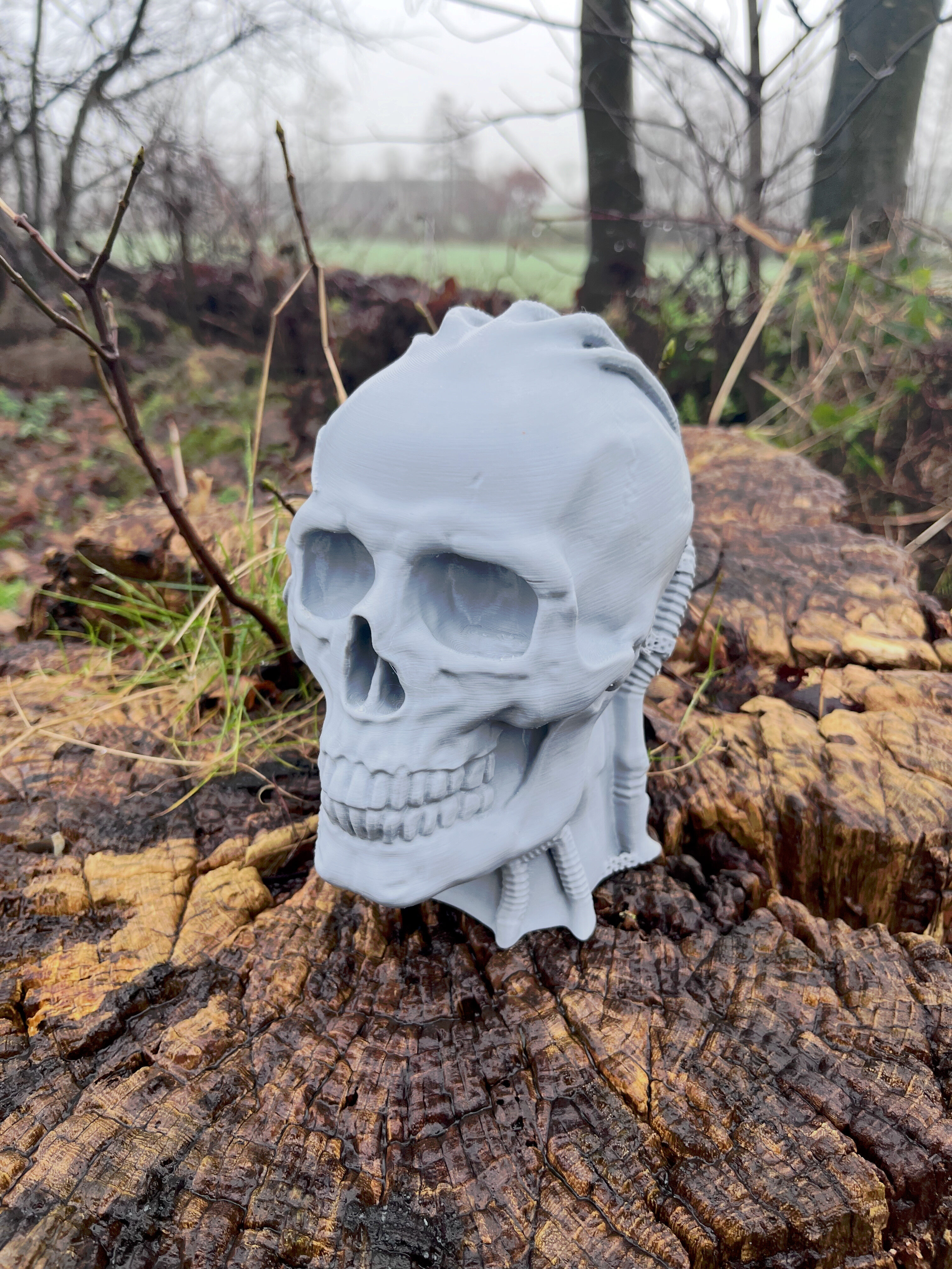 Robot Skull Headphone Stand  Cyborg Headset Stand  3D print model_2