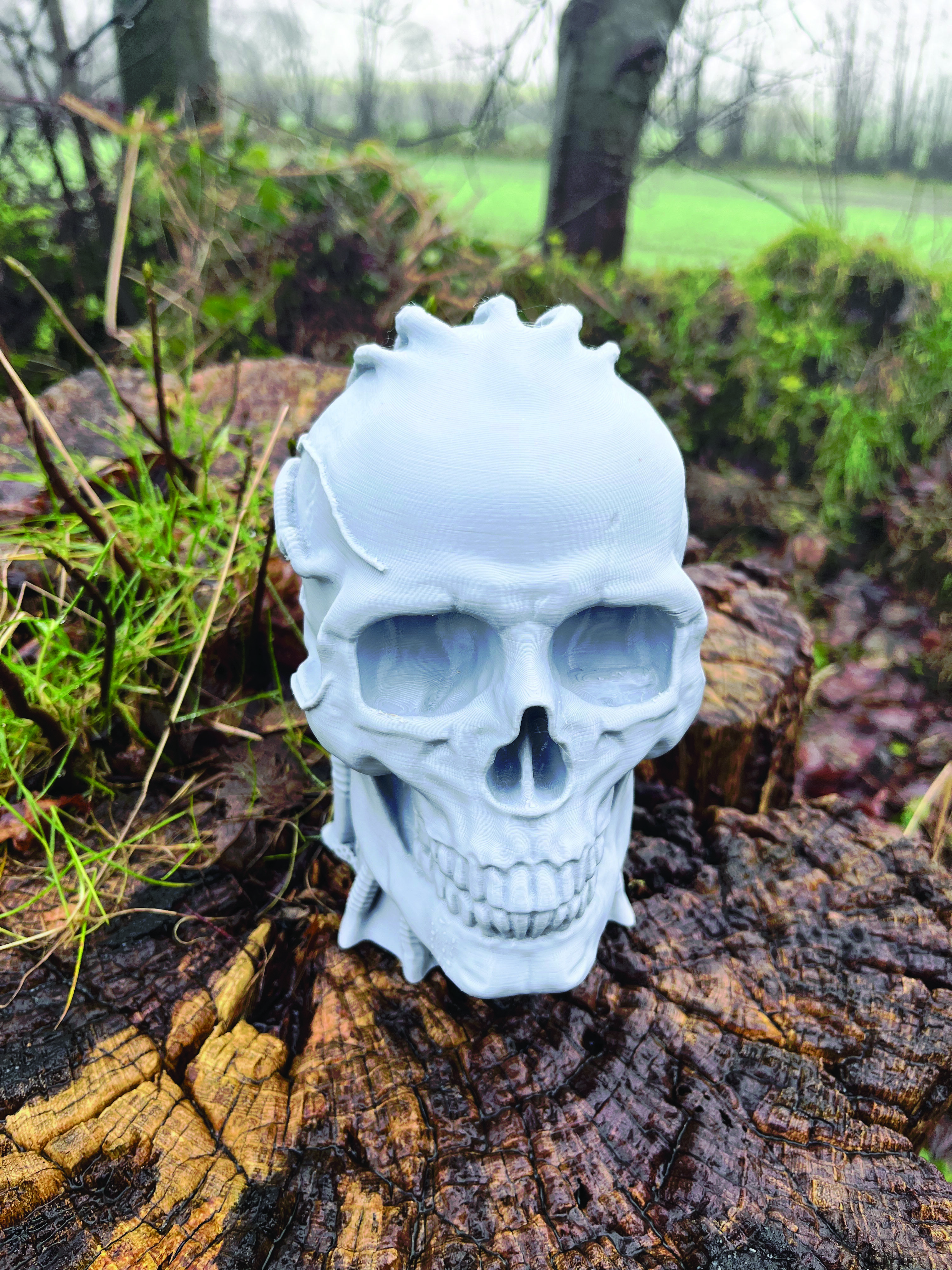 Robot Skull Headphone Stand  Cyborg Headset Stand  3D print model_1