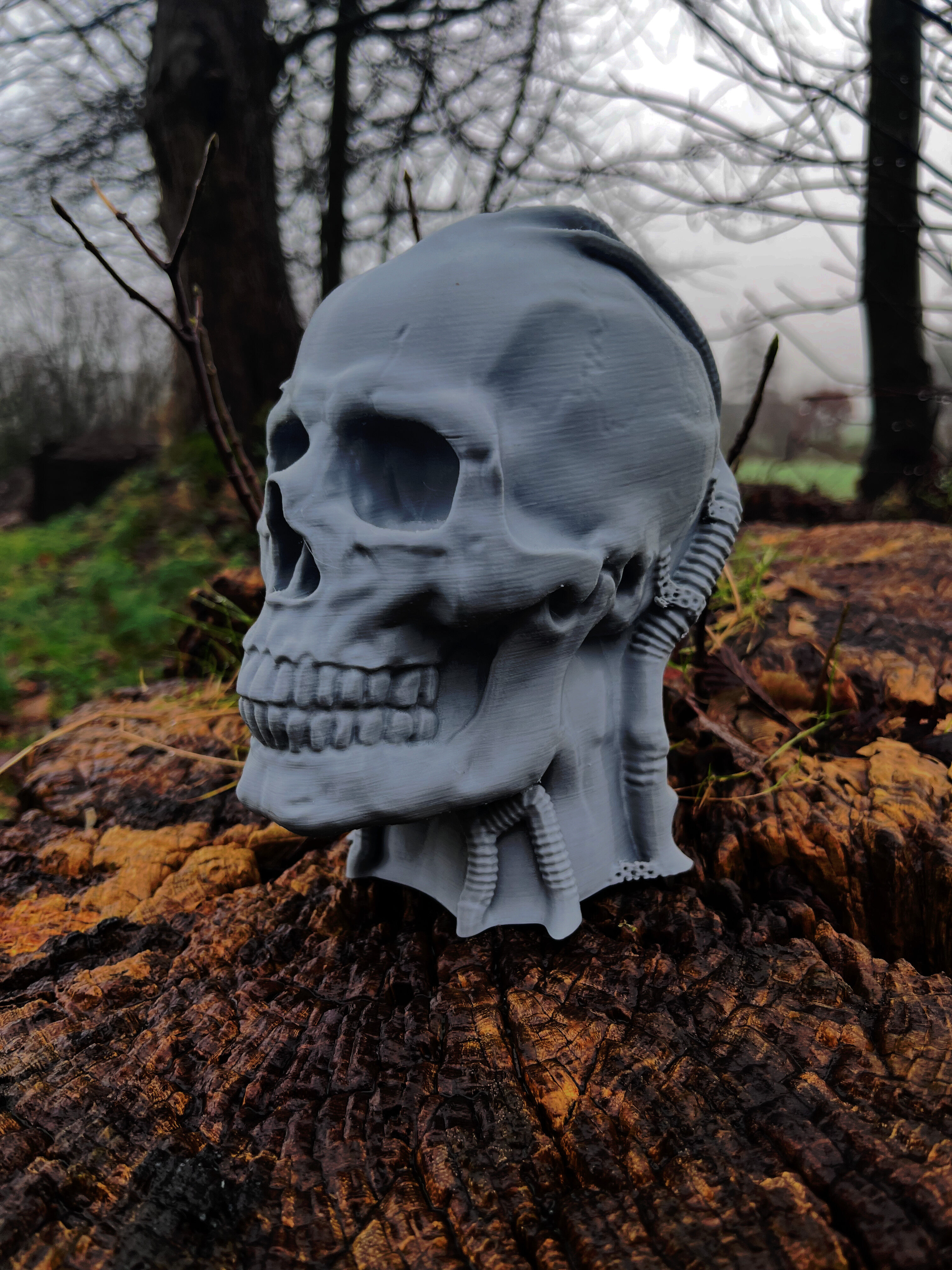 Robot Skull Headphone Stand  Cyborg Headset Stand  3D print model_3