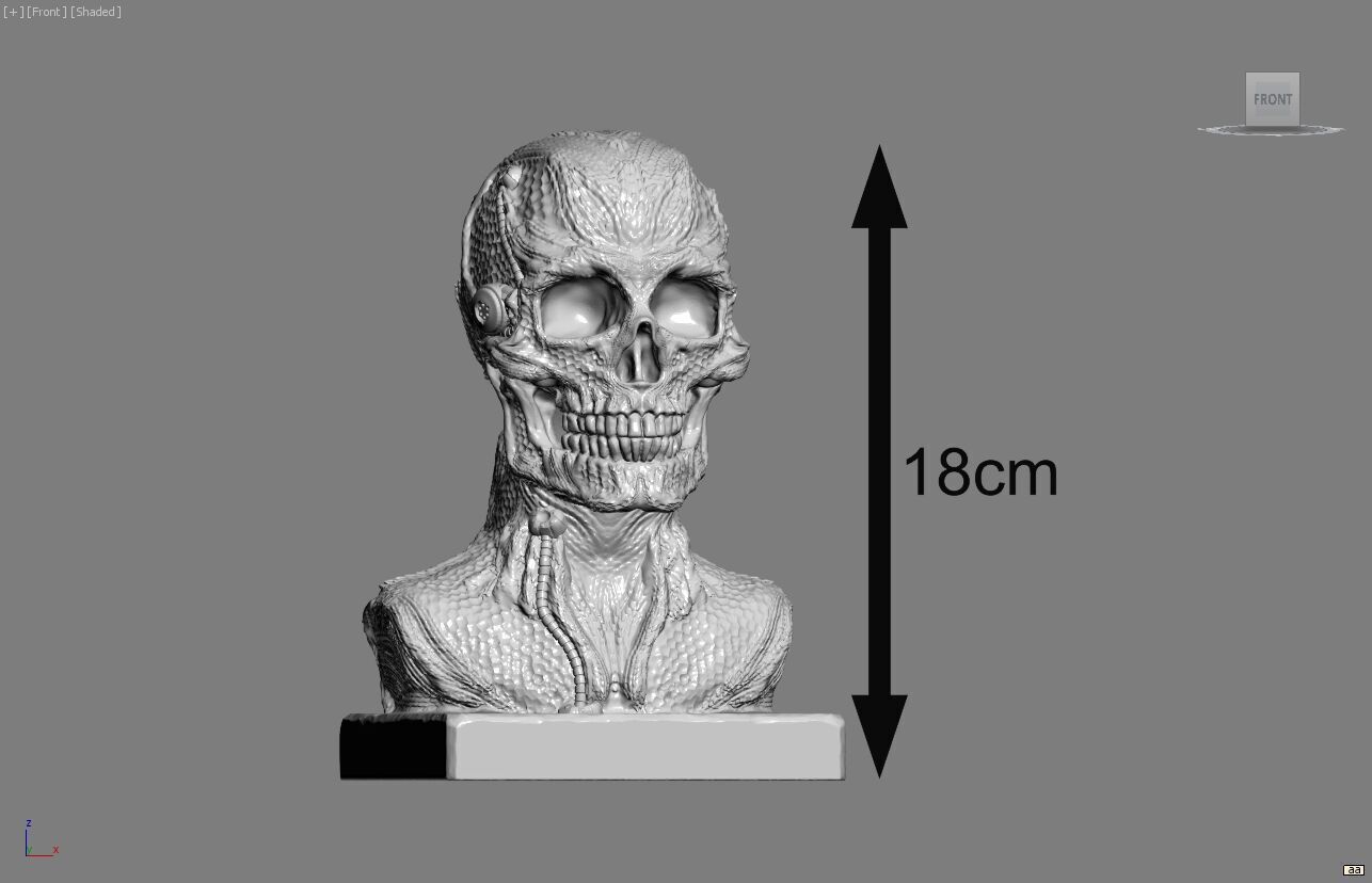 Robot Skull dragon bust Cyborg skull dragon 3D print model_5