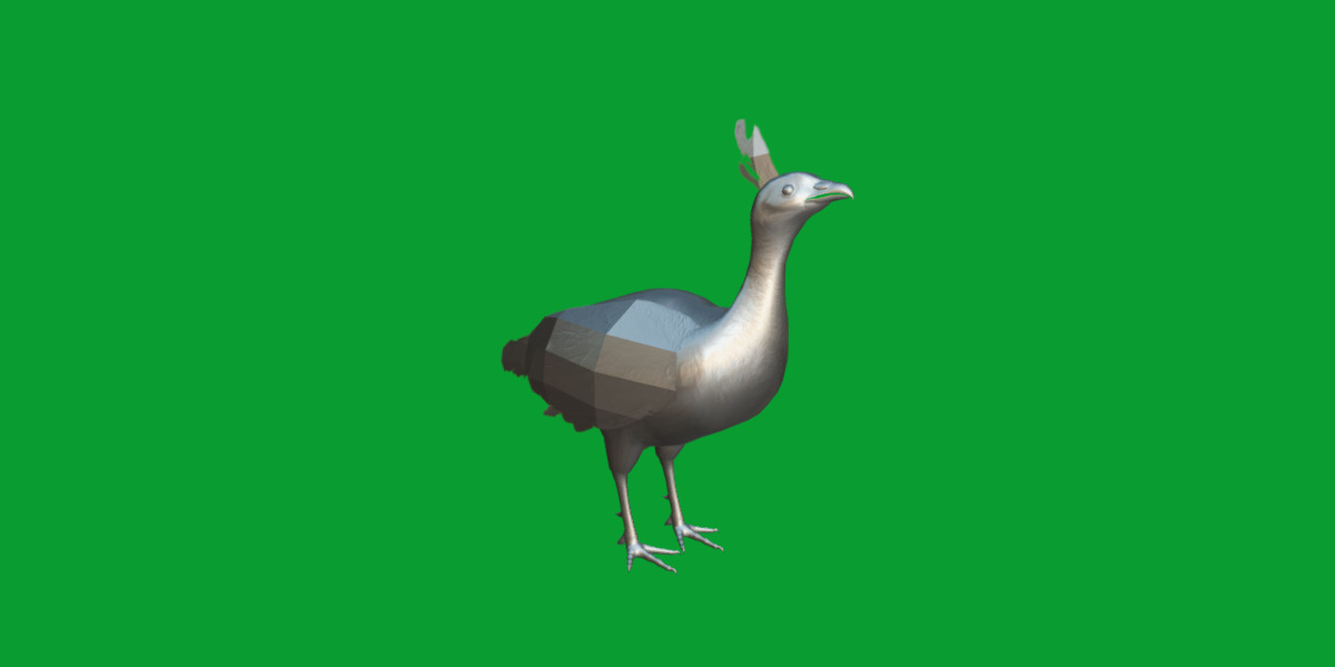 Green Peacock Bird Low-poly 3D model_11