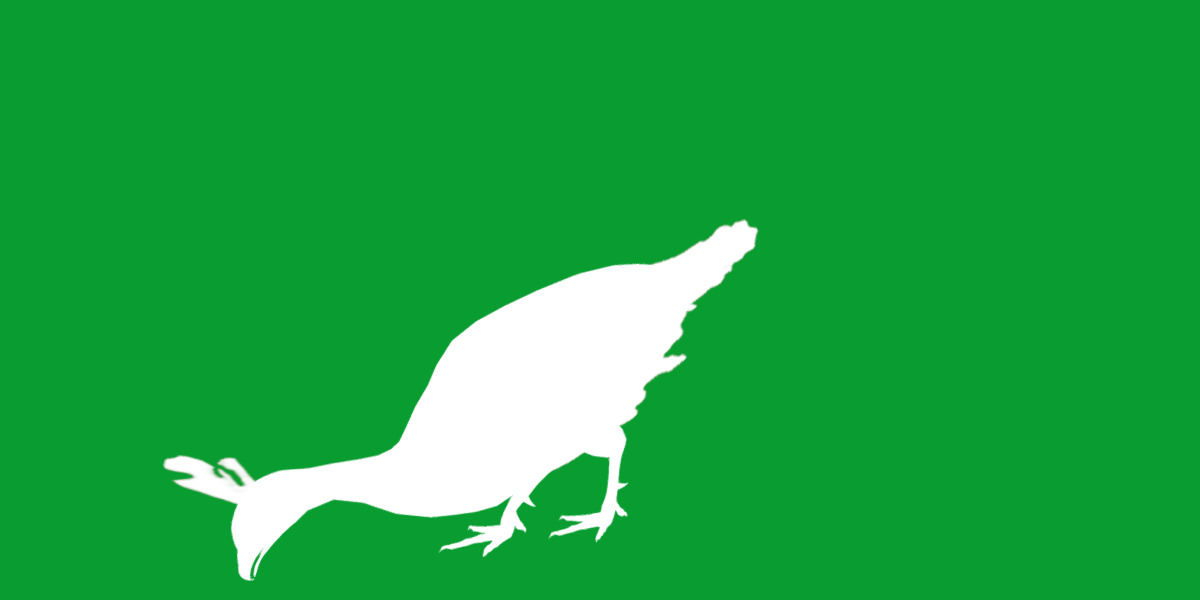 Green Peacock Bird Low-poly 3D model_28