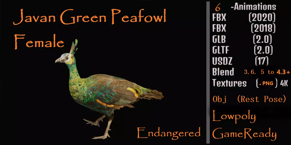 Green Peacock Bird Low-poly 3D model_0