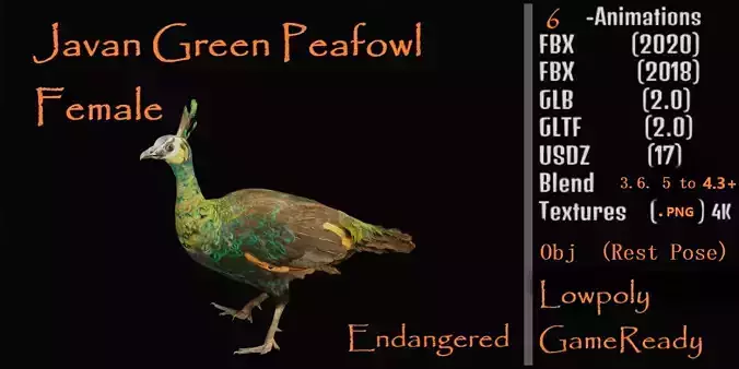 Green Peacock Bird Low-poly 3D model