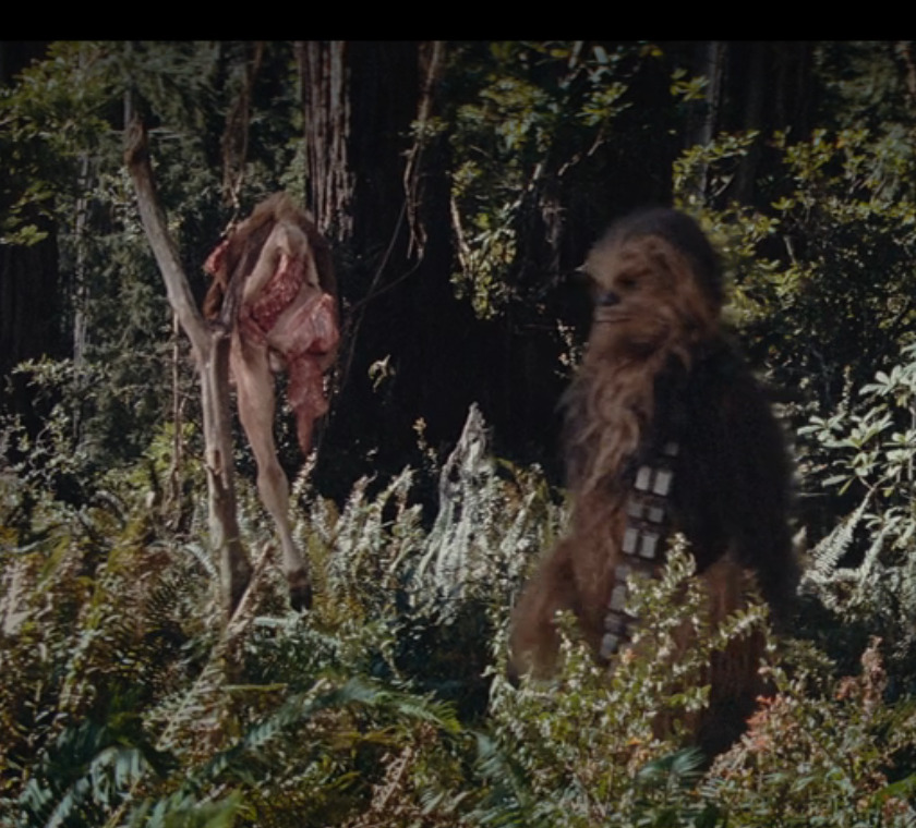 ROTJ Star Wars Assquatch 3D print model_1