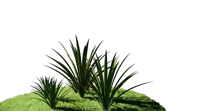 grass plants