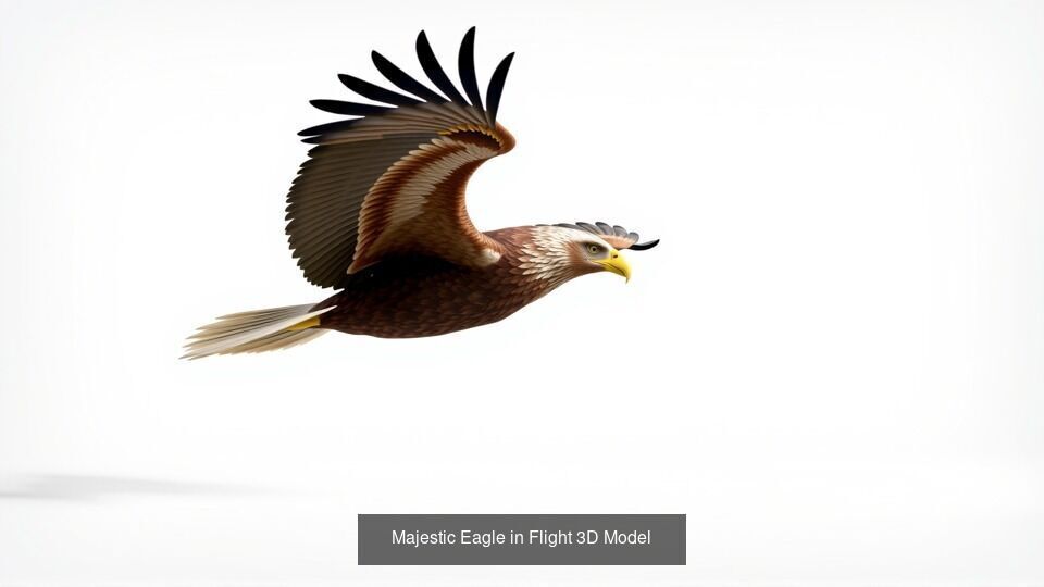 Wild Birds  set of 14  models 3D Model Collection_7