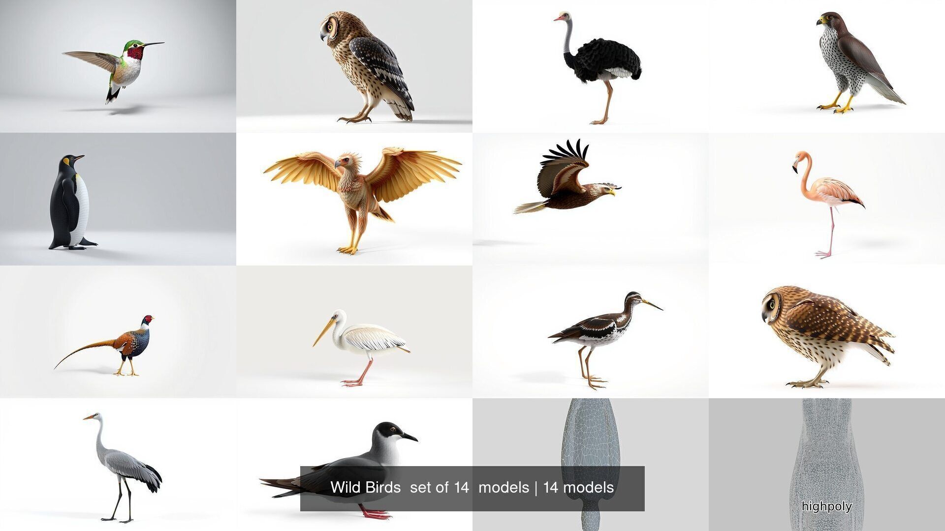 Wild Birds  set of 14  models 3D Model Collection_3