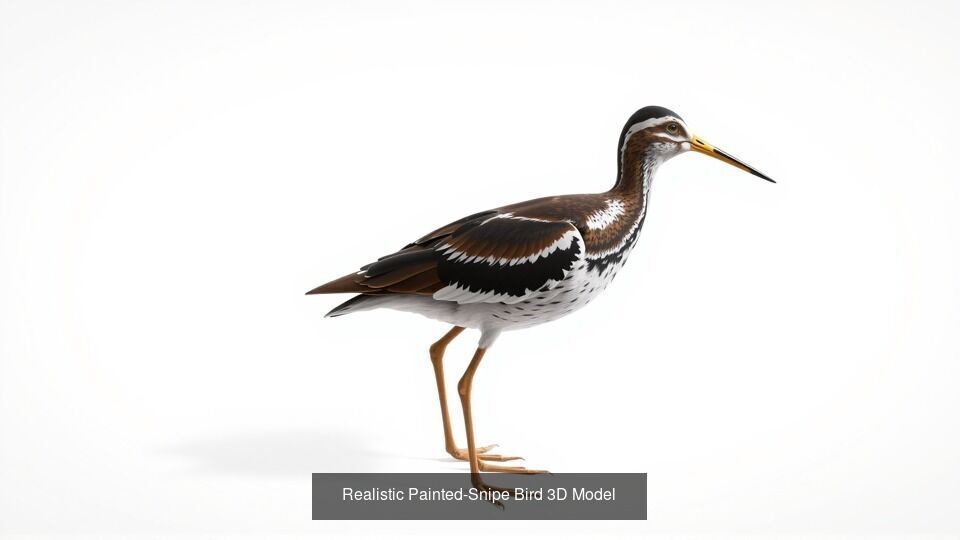 Wild Birds  set of 14  models 3D Model Collection_11